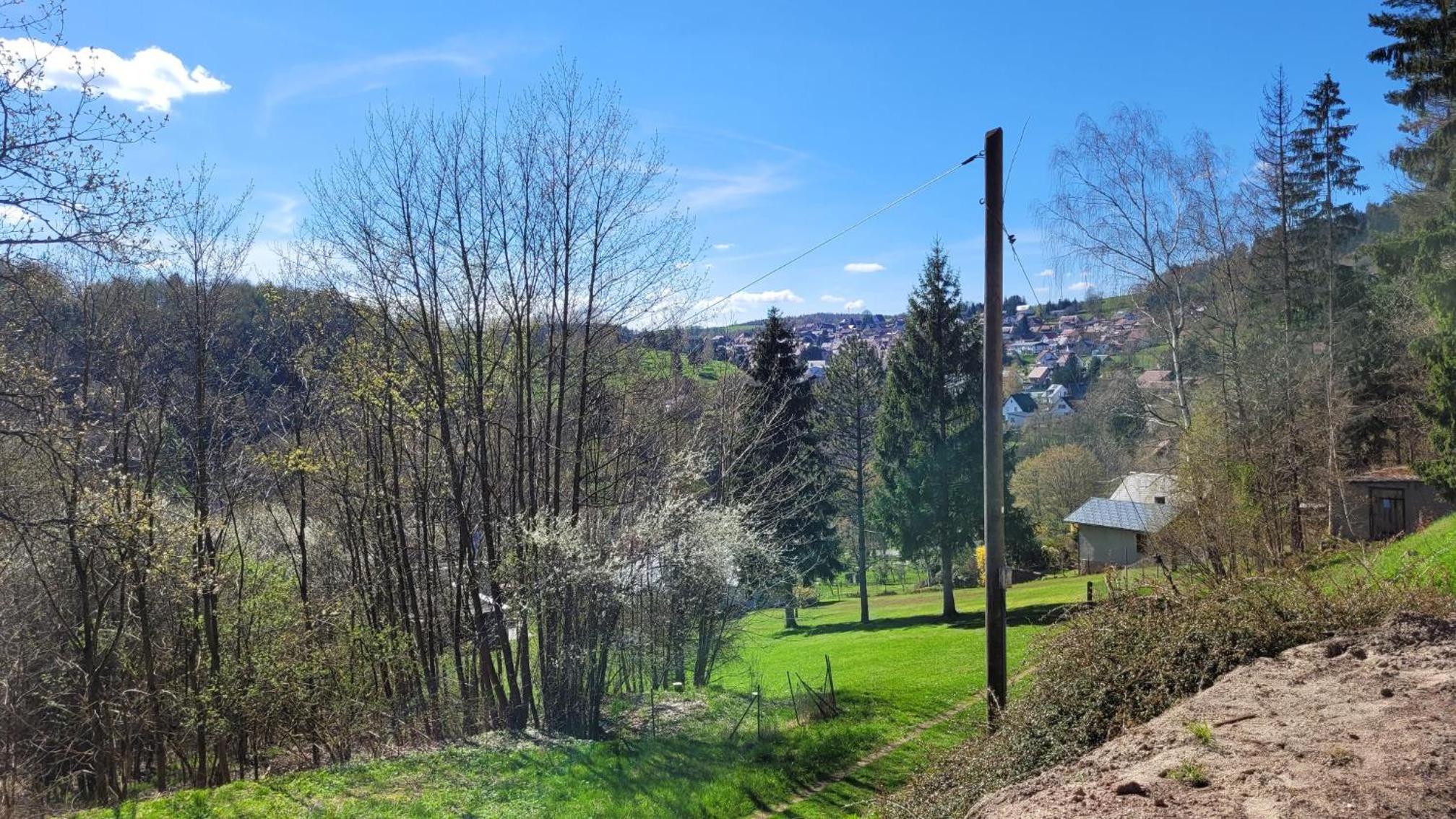 Waldpension Am Köpfchen