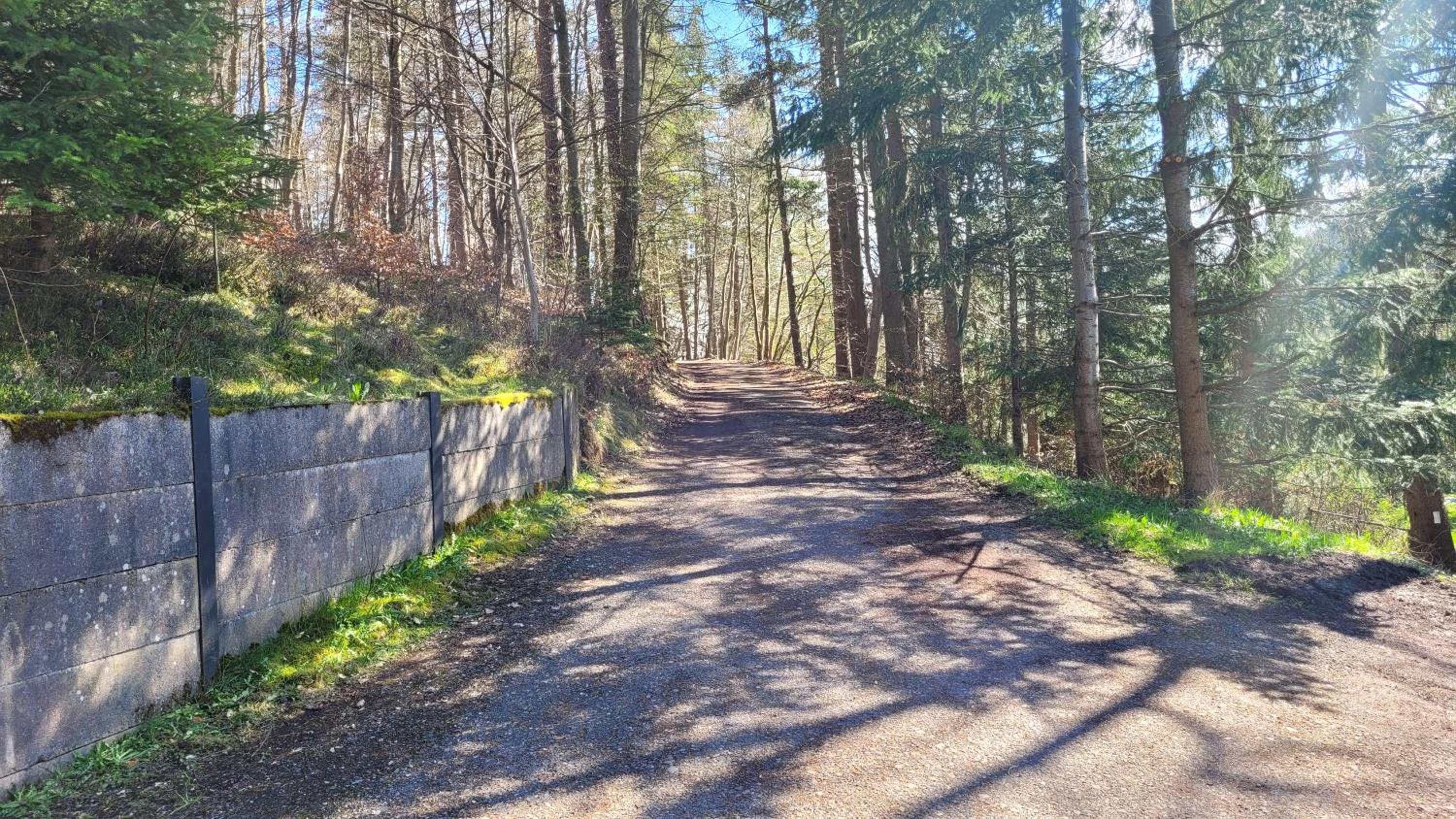 Waldpension Am Köpfchen