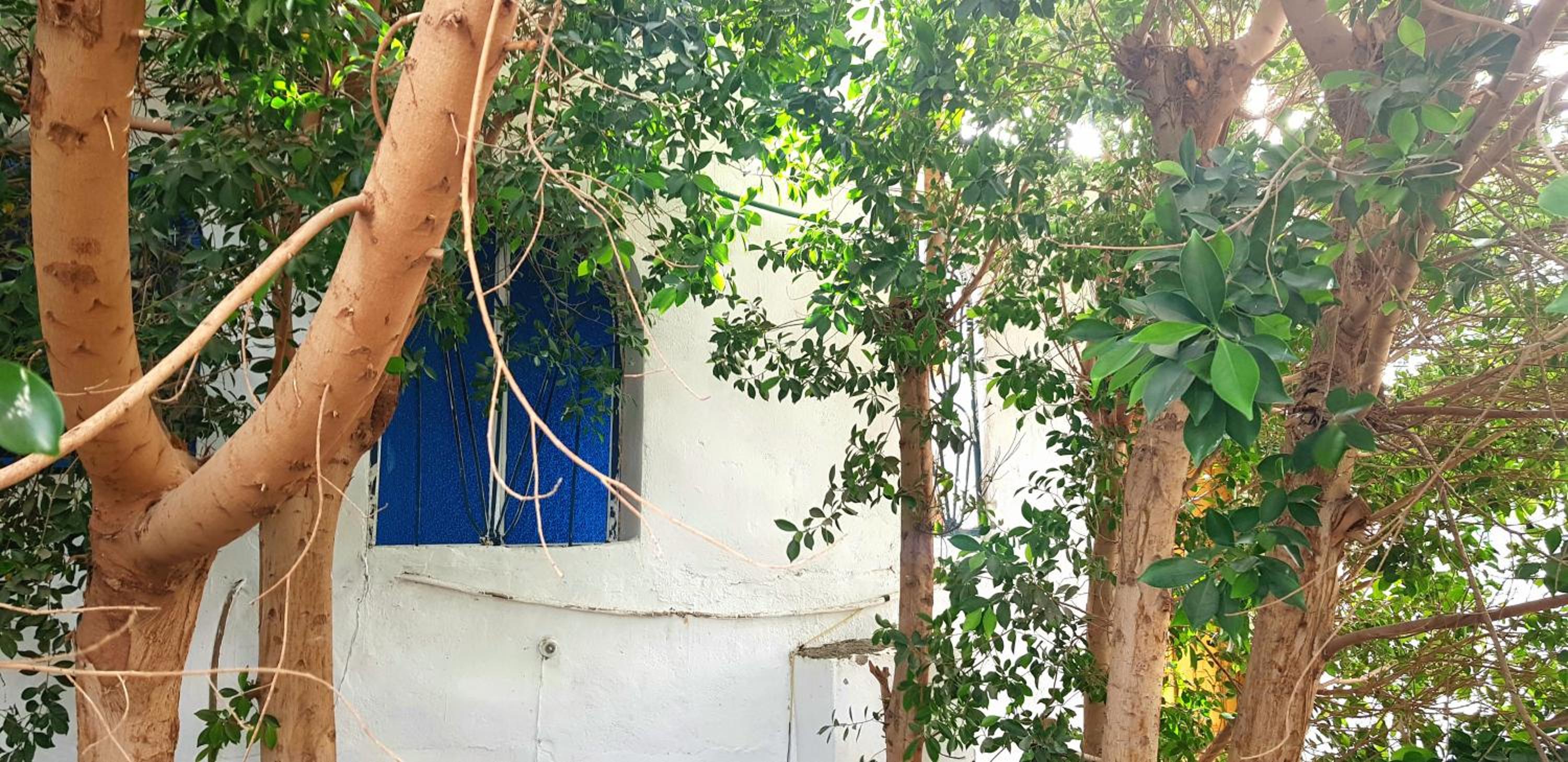 HabuHeritageHomeStayInLuxor