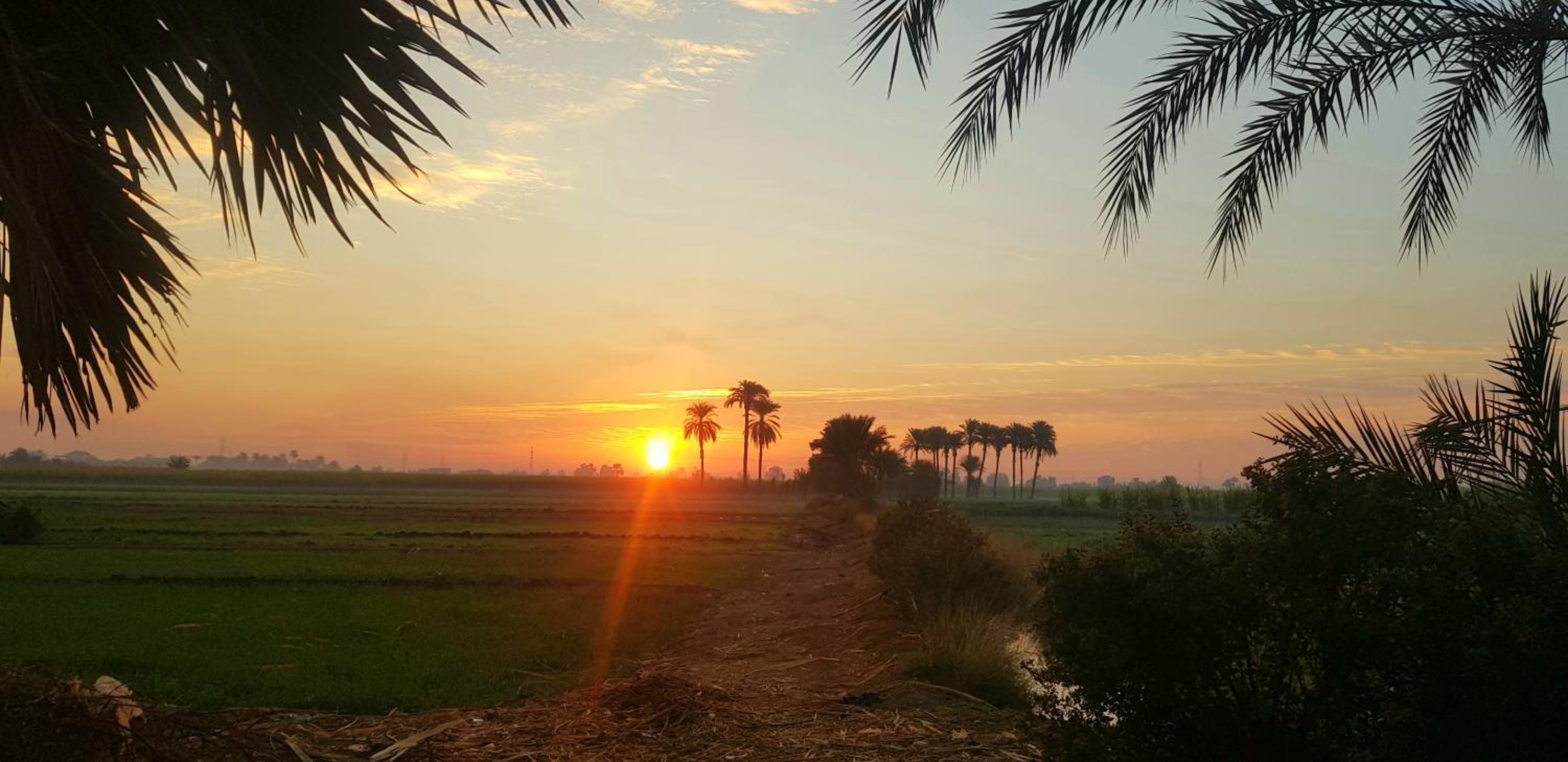 HabuHeritageHomeStayInLuxor