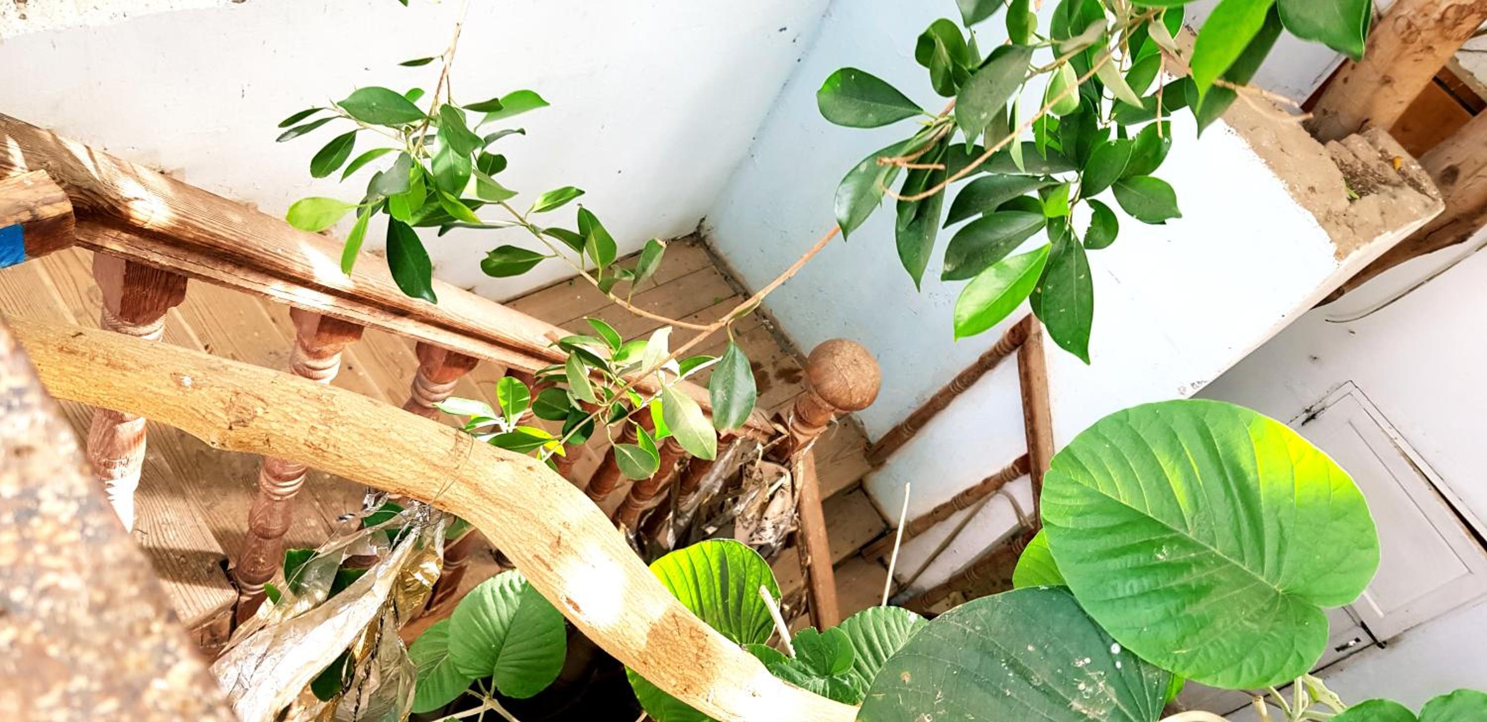 HabuHeritageHomeStayInLuxor