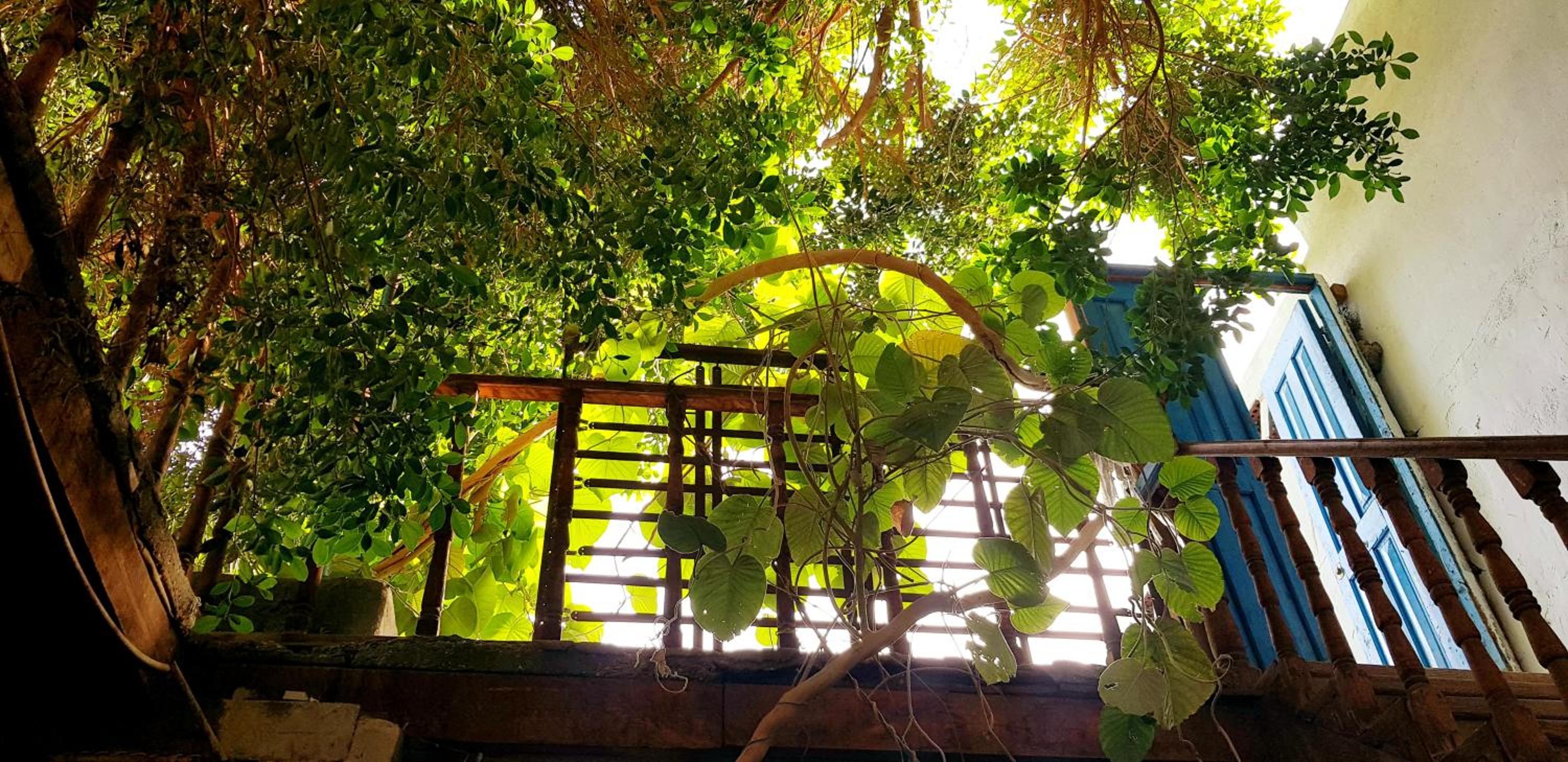 HabuHeritageHomeStayInLuxor