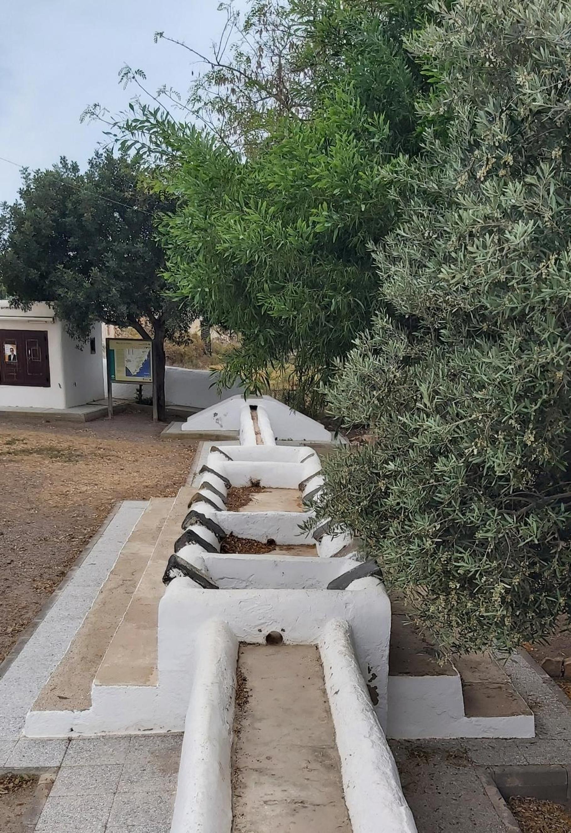 Esparto y sal