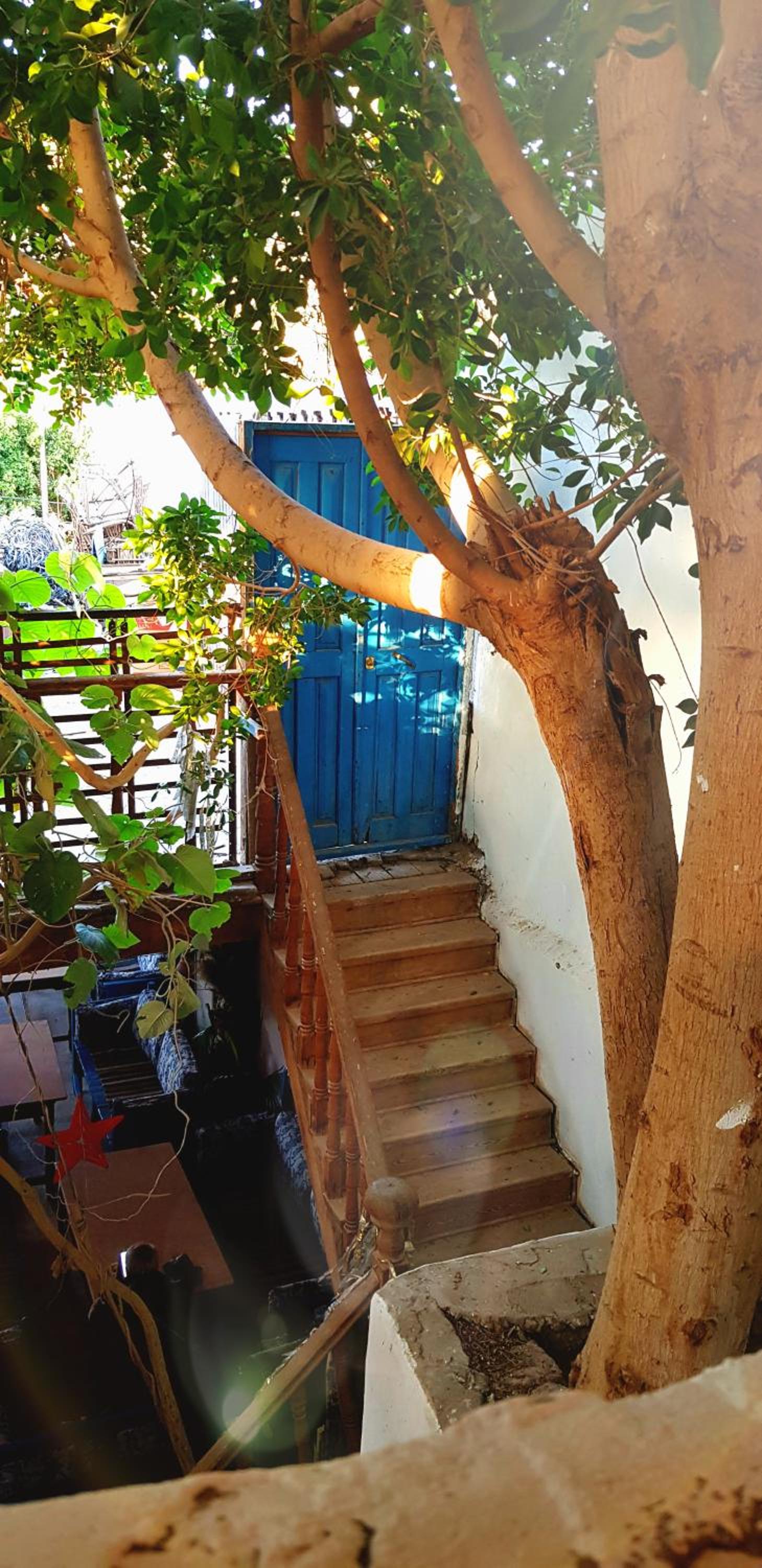 HabuHeritageHomeStayInLuxor