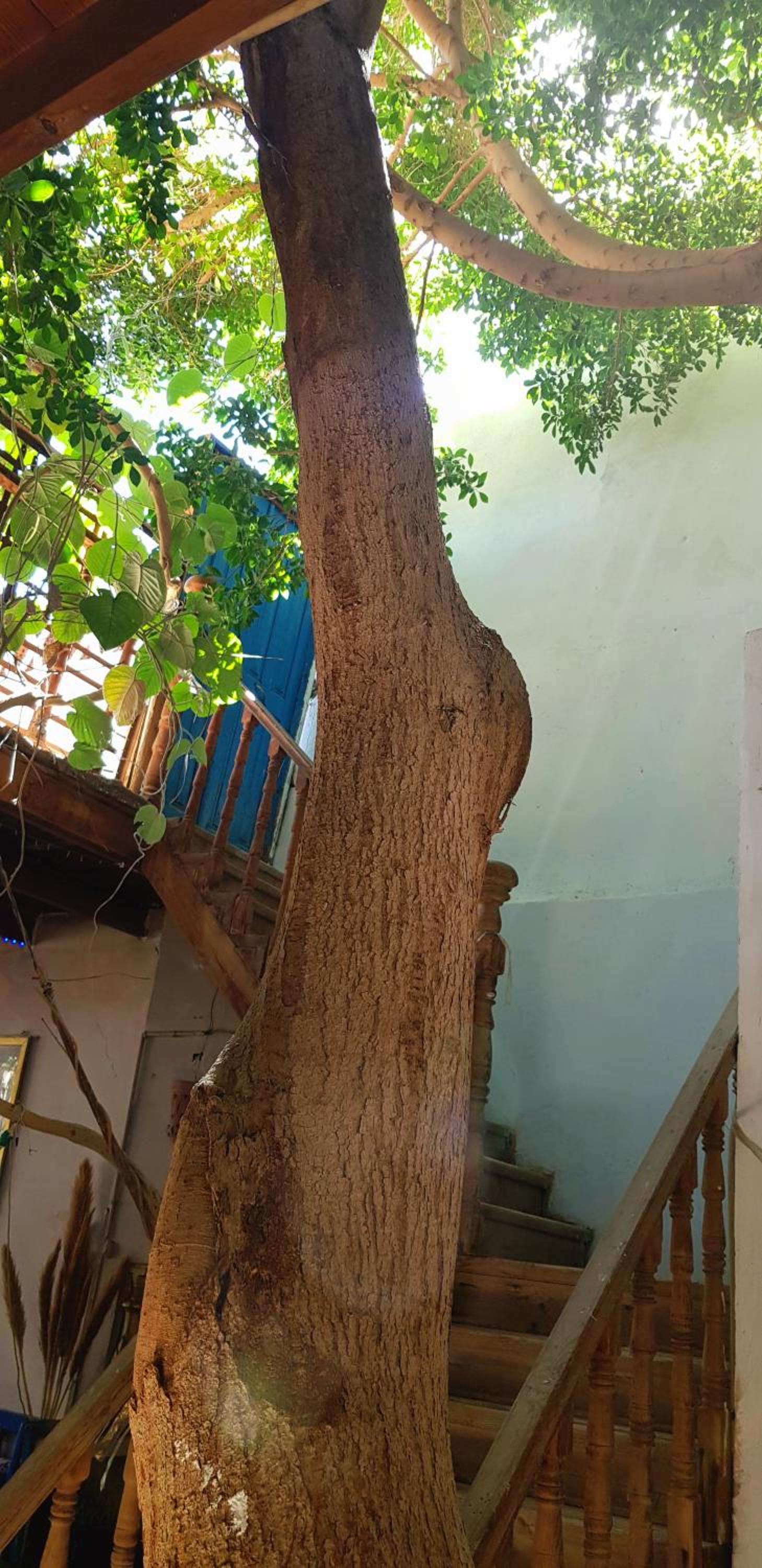 HabuHeritageHomeStayInLuxor