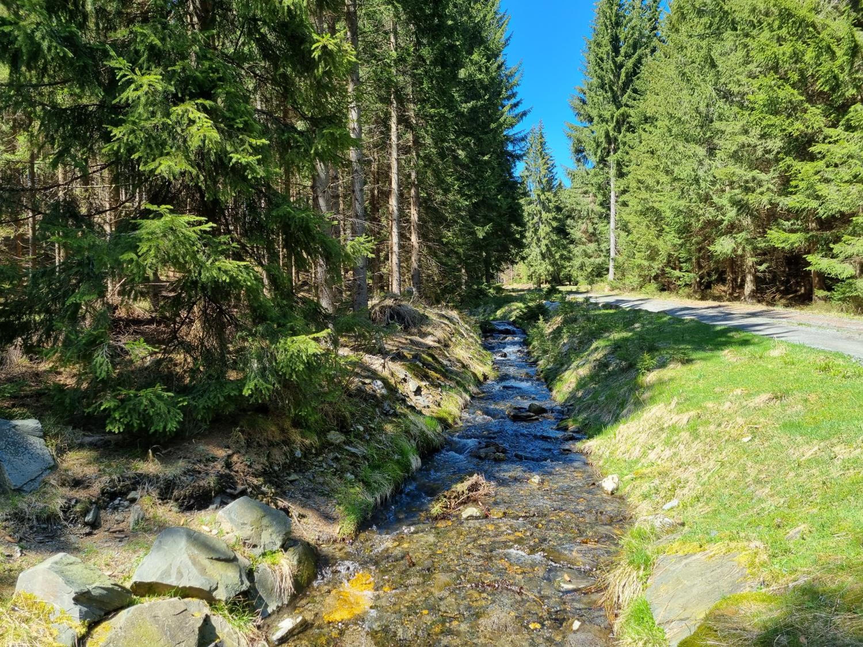 Apartmán Felix