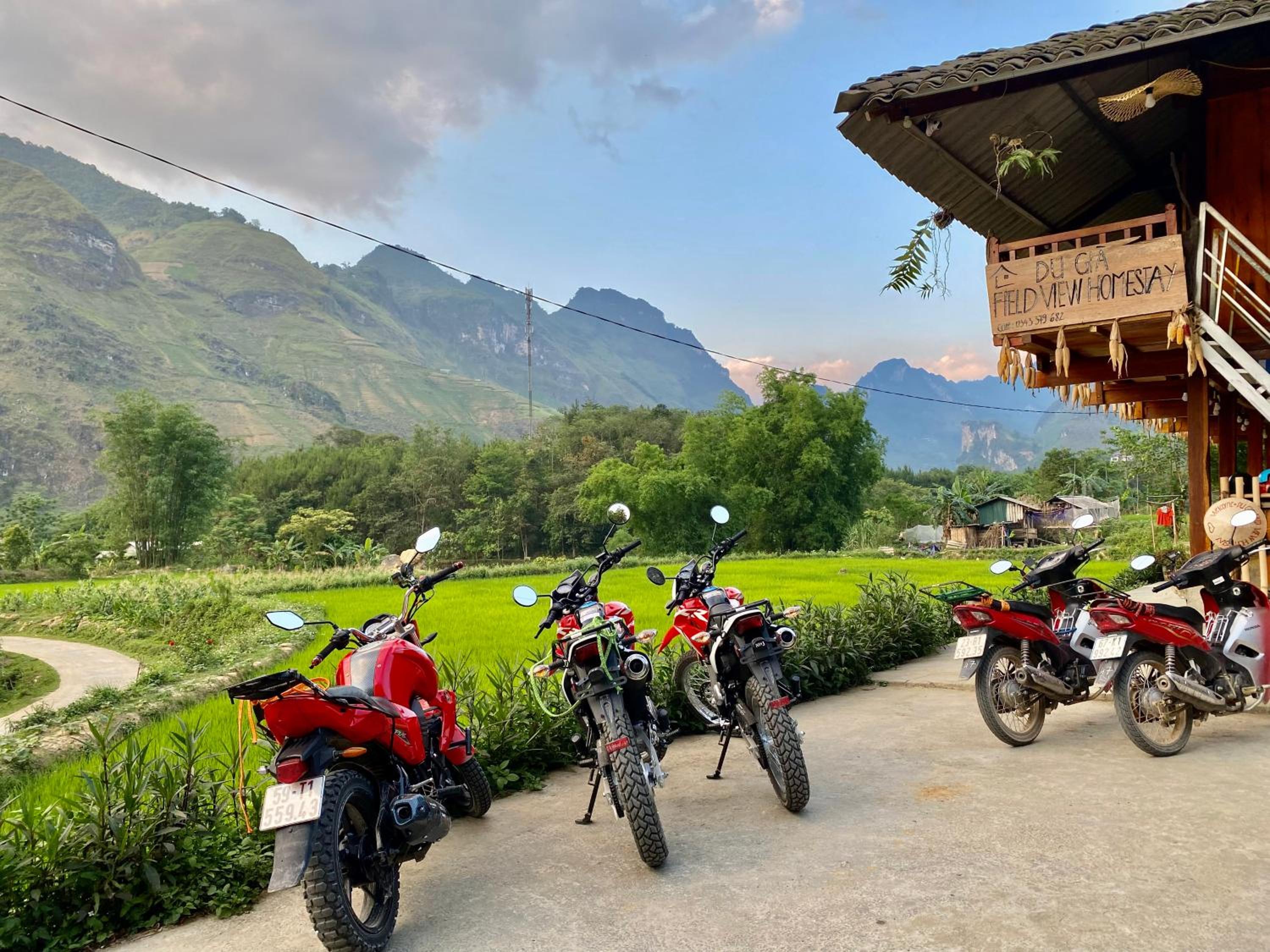 Du Gia Field View Homestay