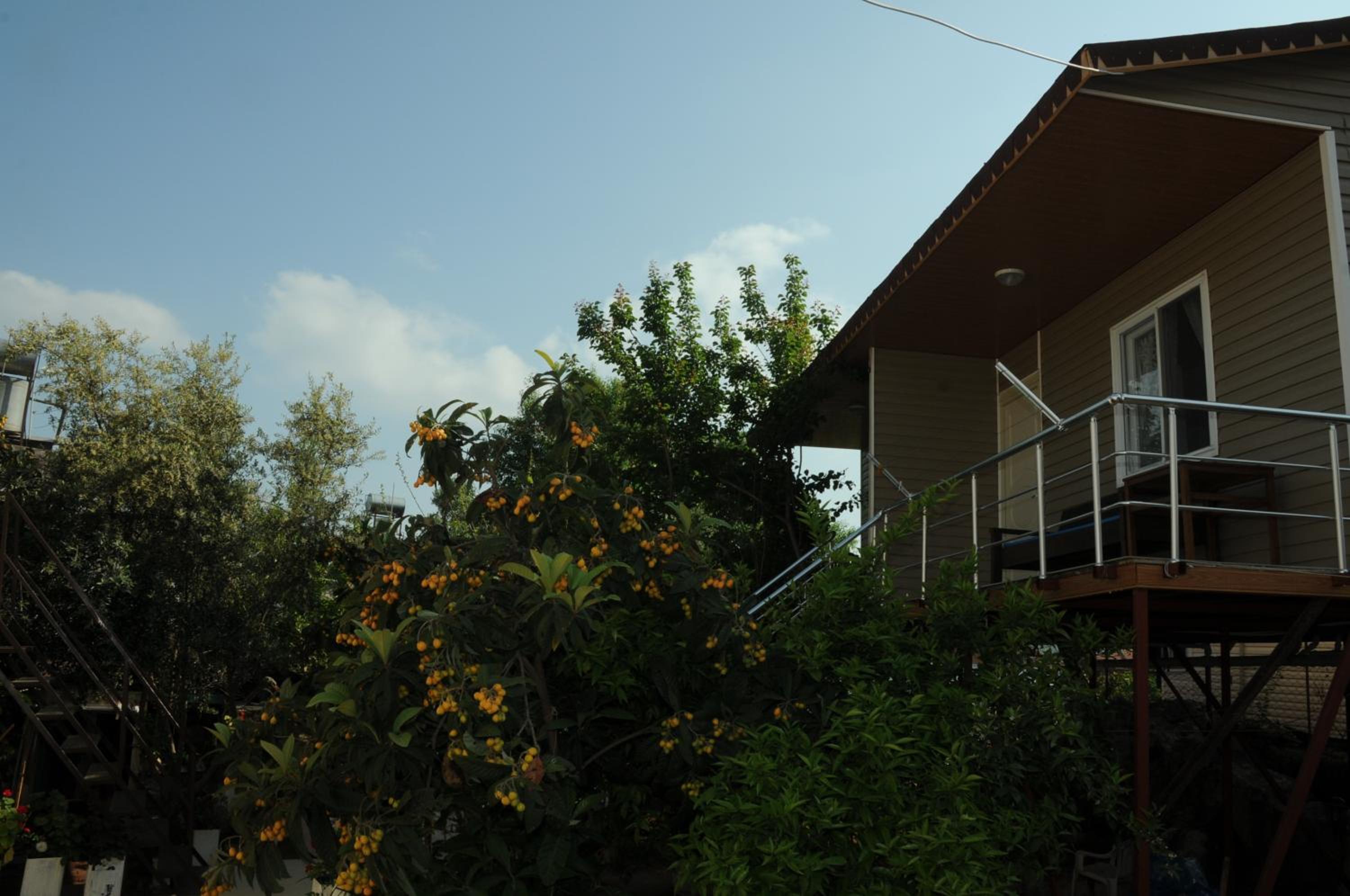 Photo 20