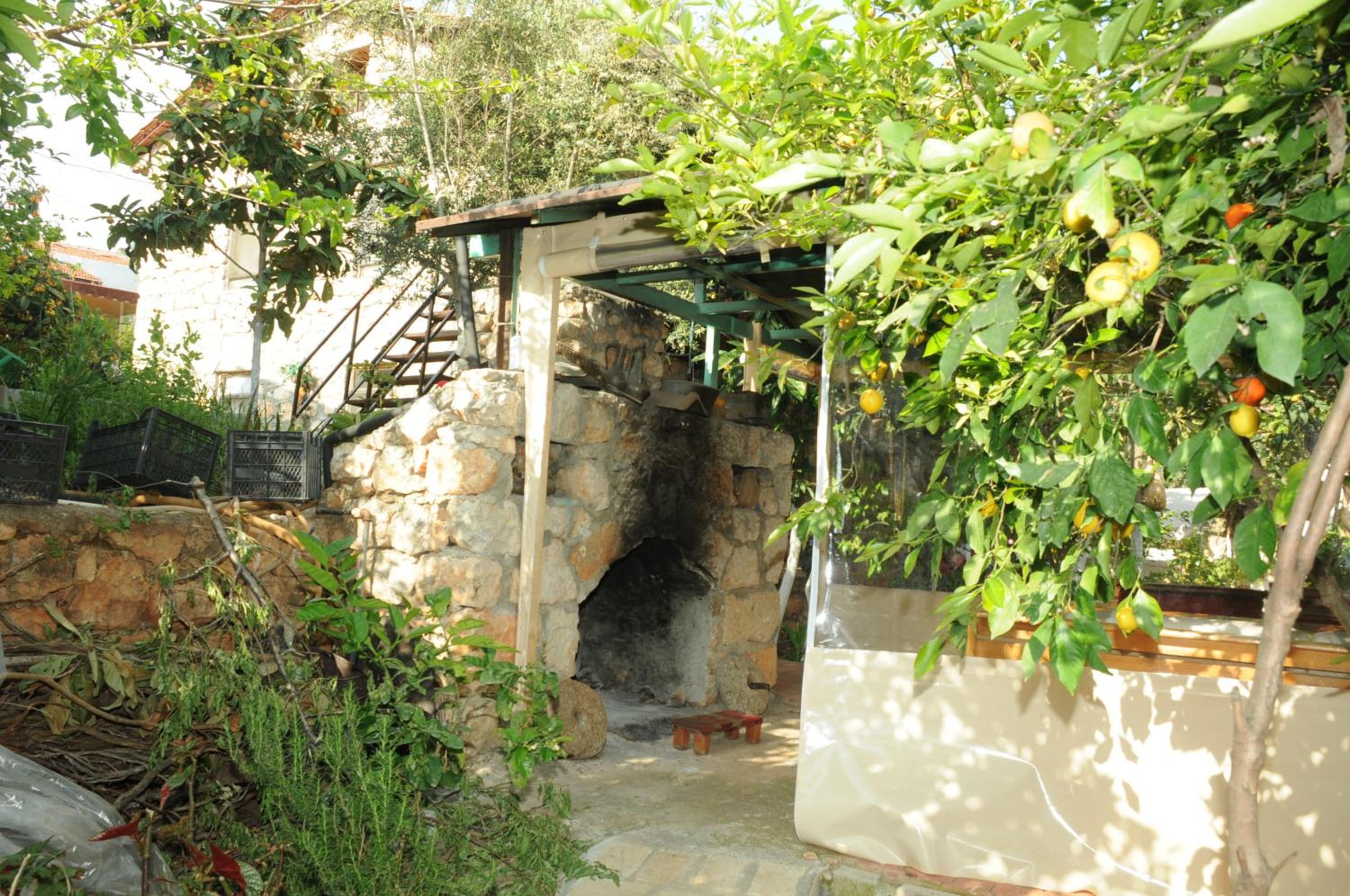 Photo 25