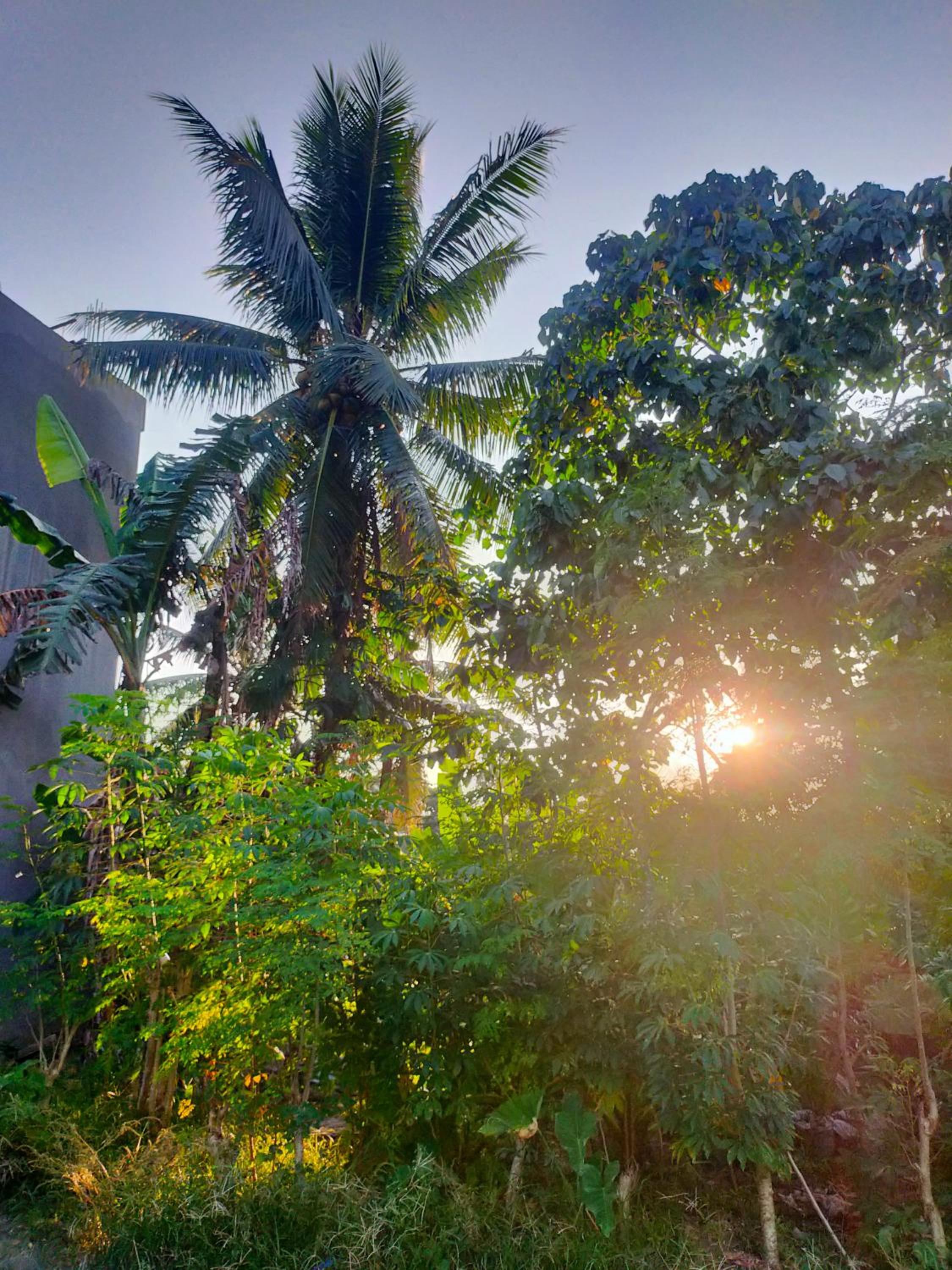 Mayon Pad Inn