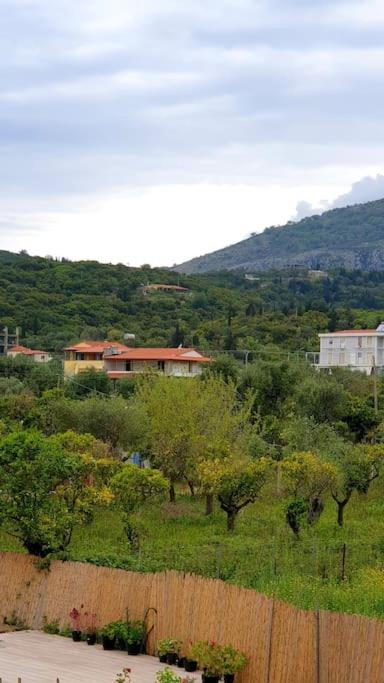 Ionian Blue Apartament II