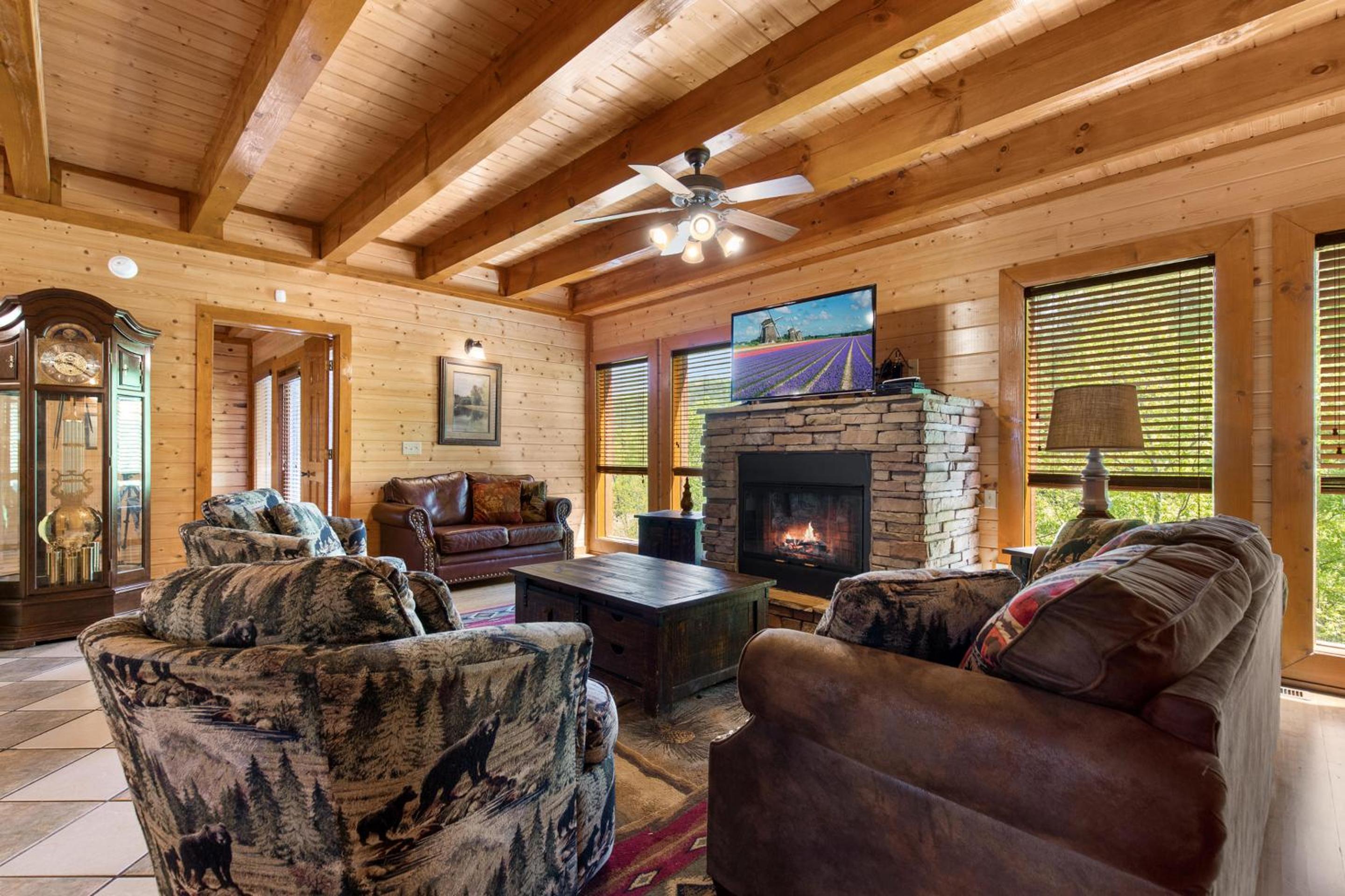 Mountain Theatre Lodge view 4
