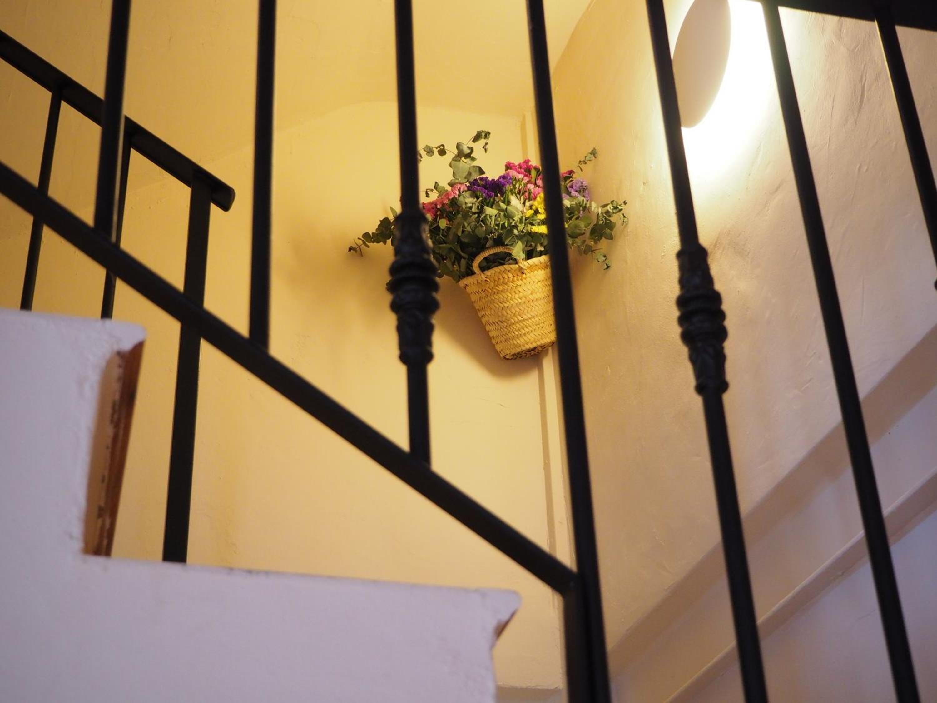 Casa Amandava