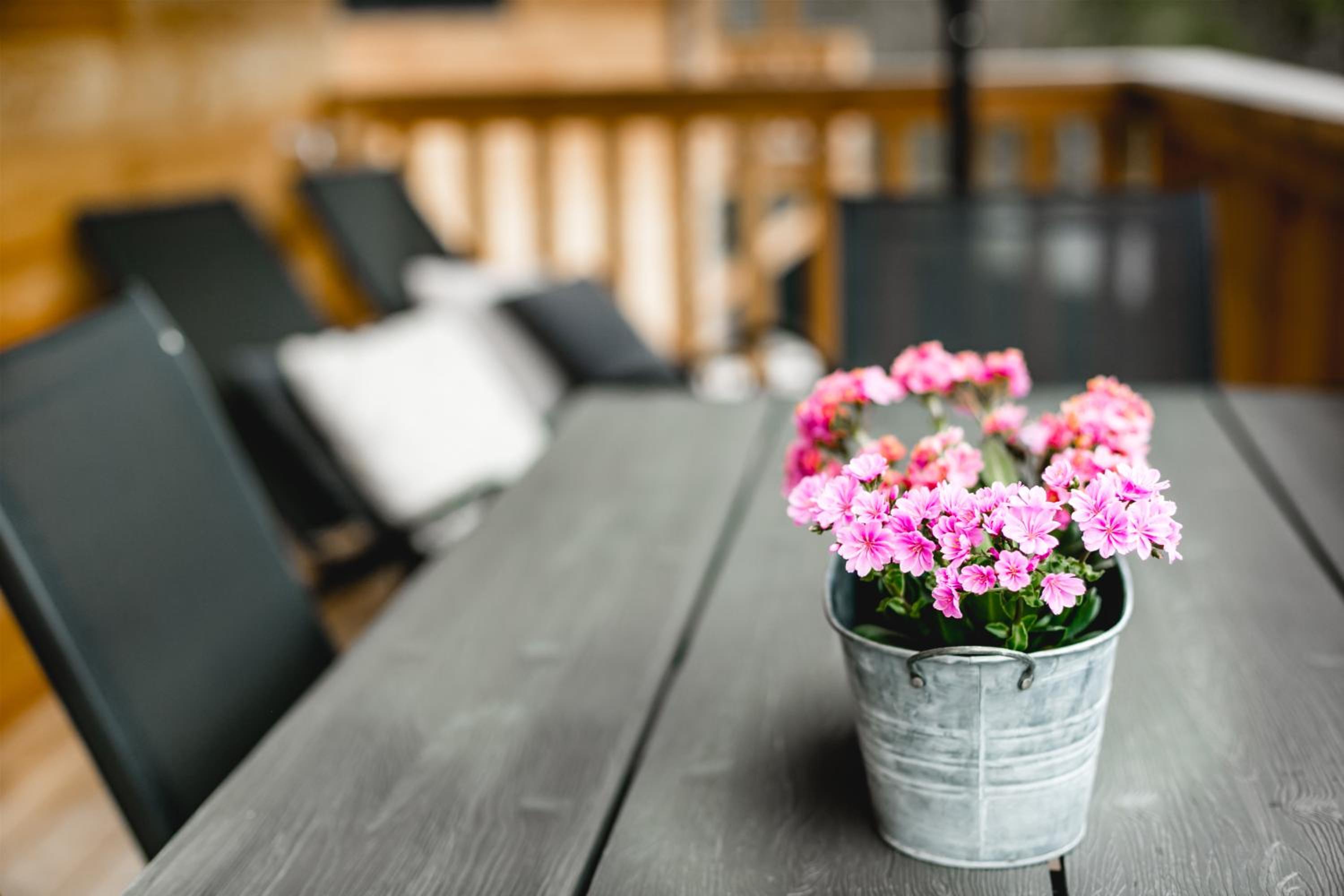 Chalet 49 Nesselgraben - Ferienwohnungen aus Holz