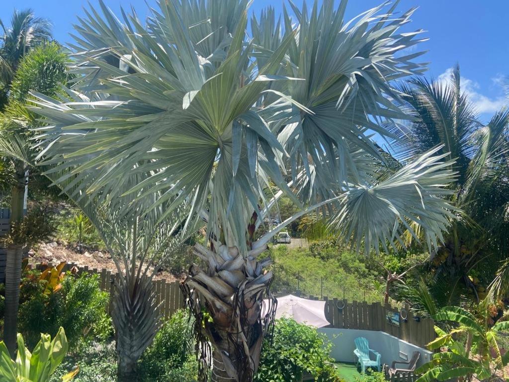 Studio sainte Anne view 5