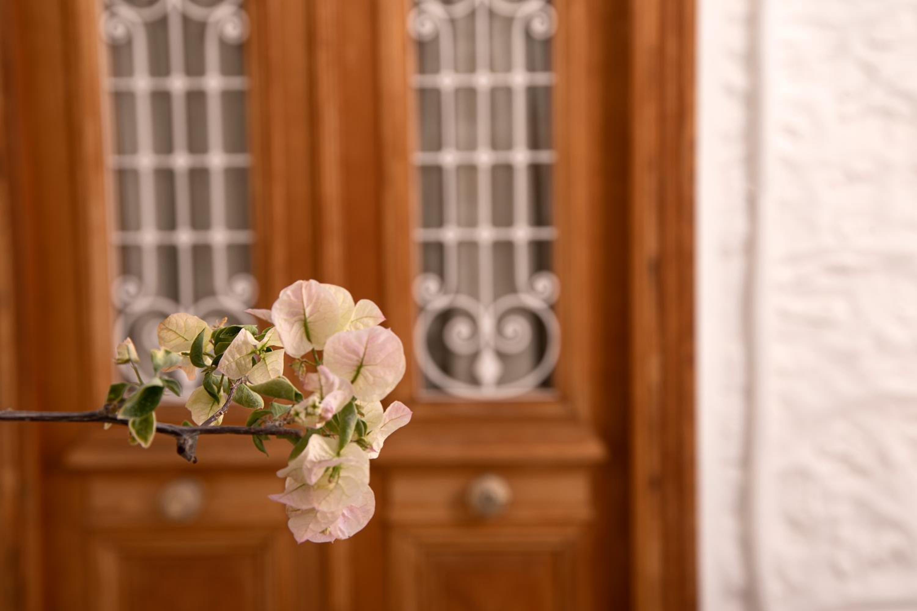 Antoinette Mansion view 4