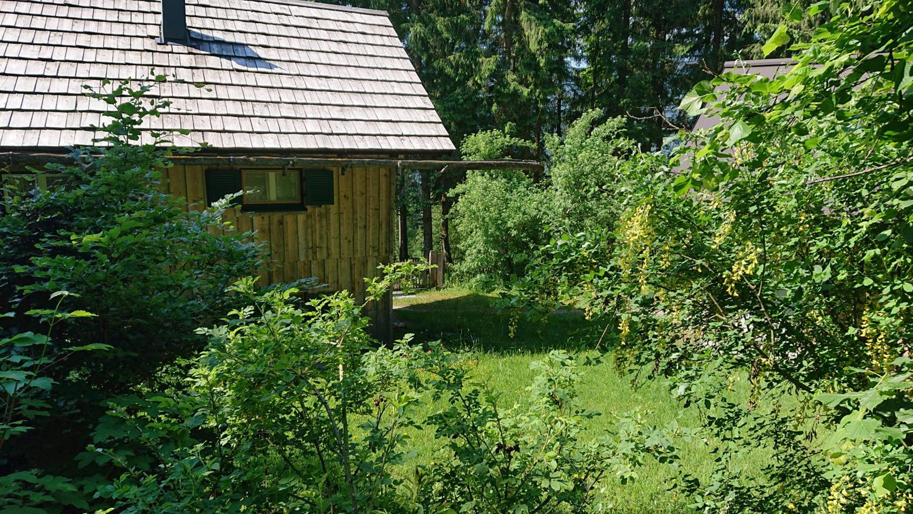 Knödl-Alm Waldhäusl