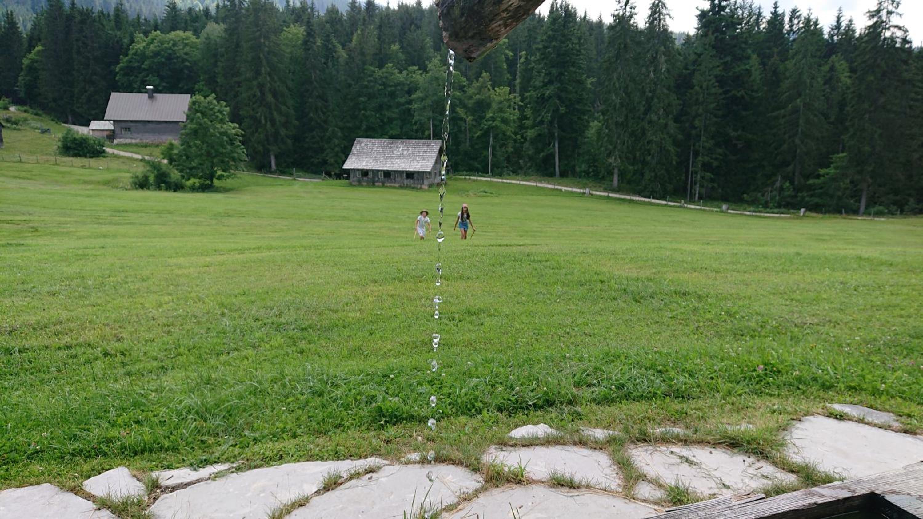 Knödl-Alm Waldhäusl