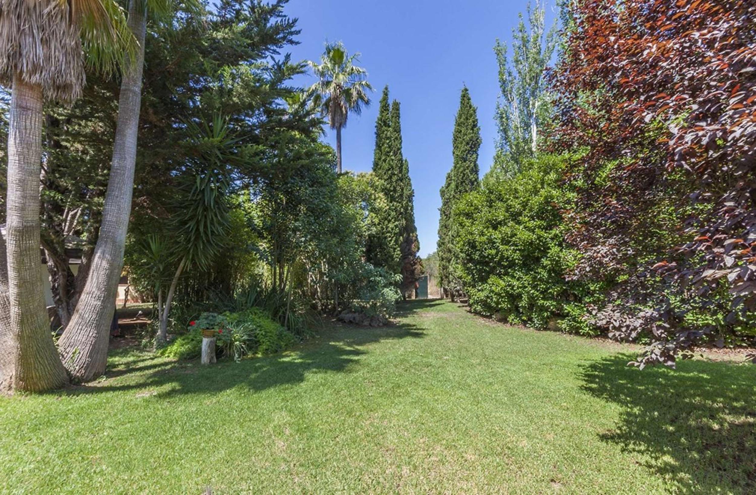 Finca Santa Maria Near Palma