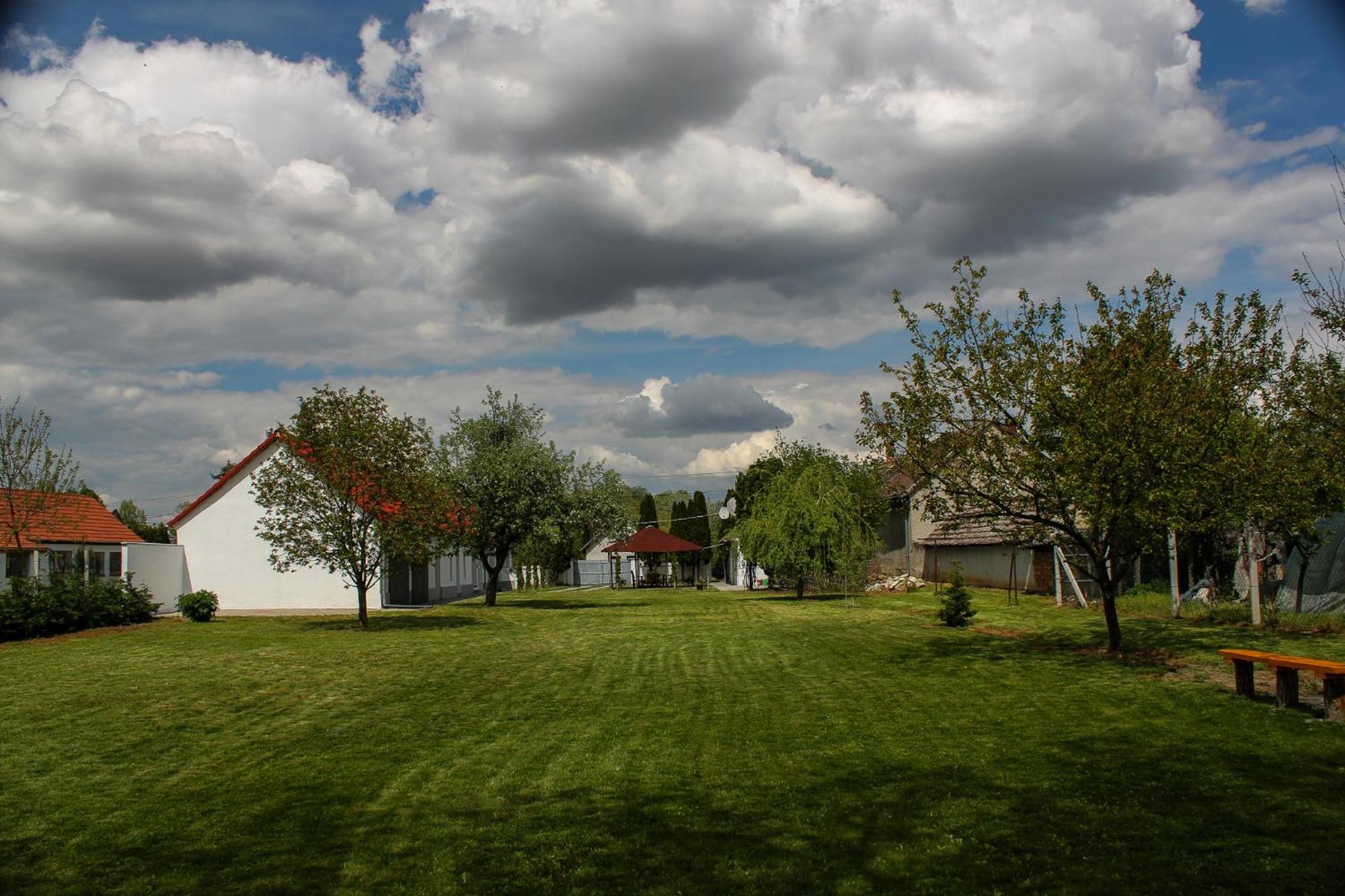 Photo 17
