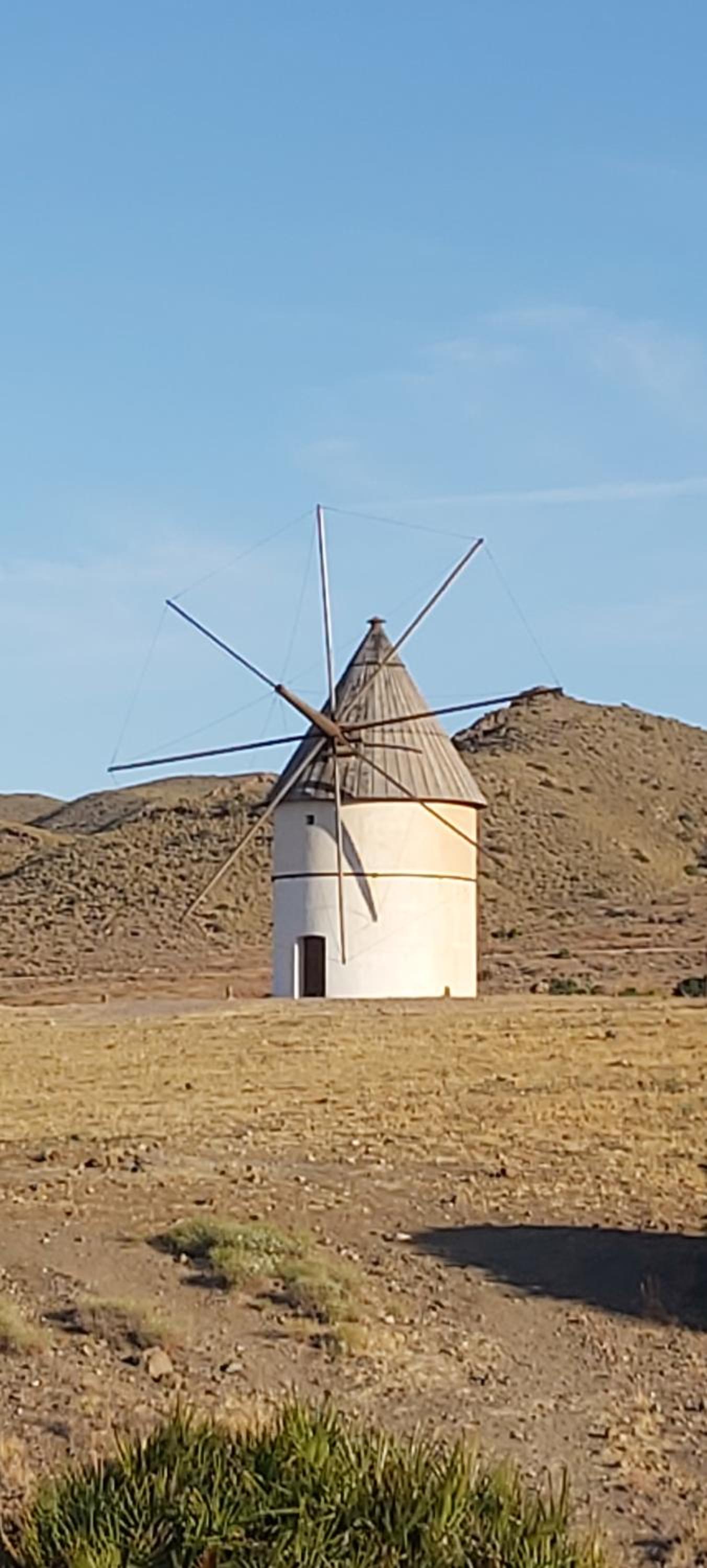 Esparto y sal