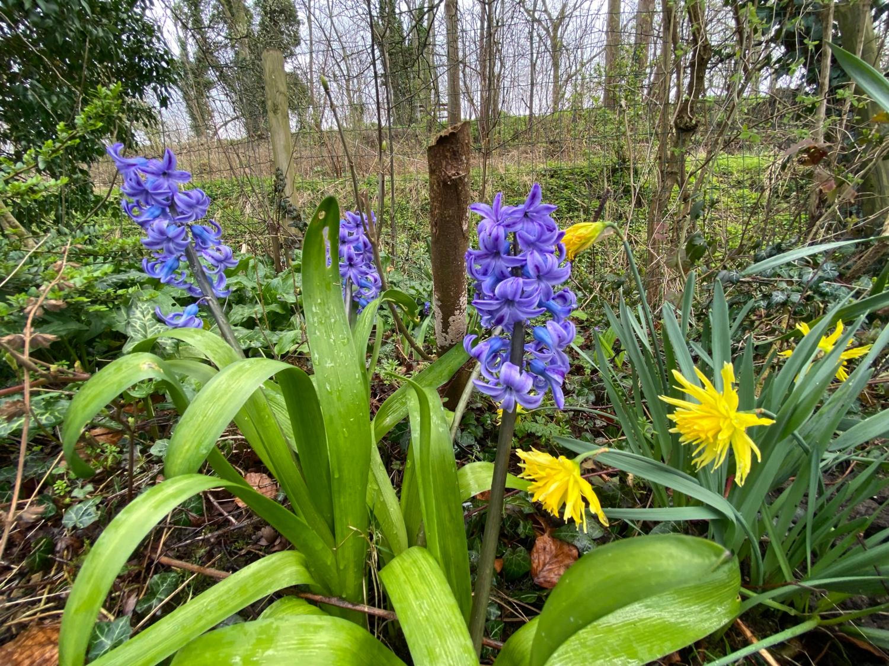 Photo 14