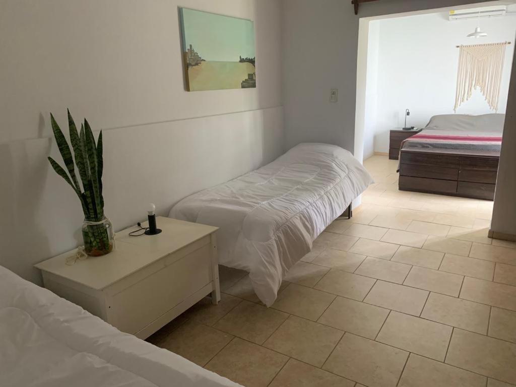 Casa Barrio Jardin