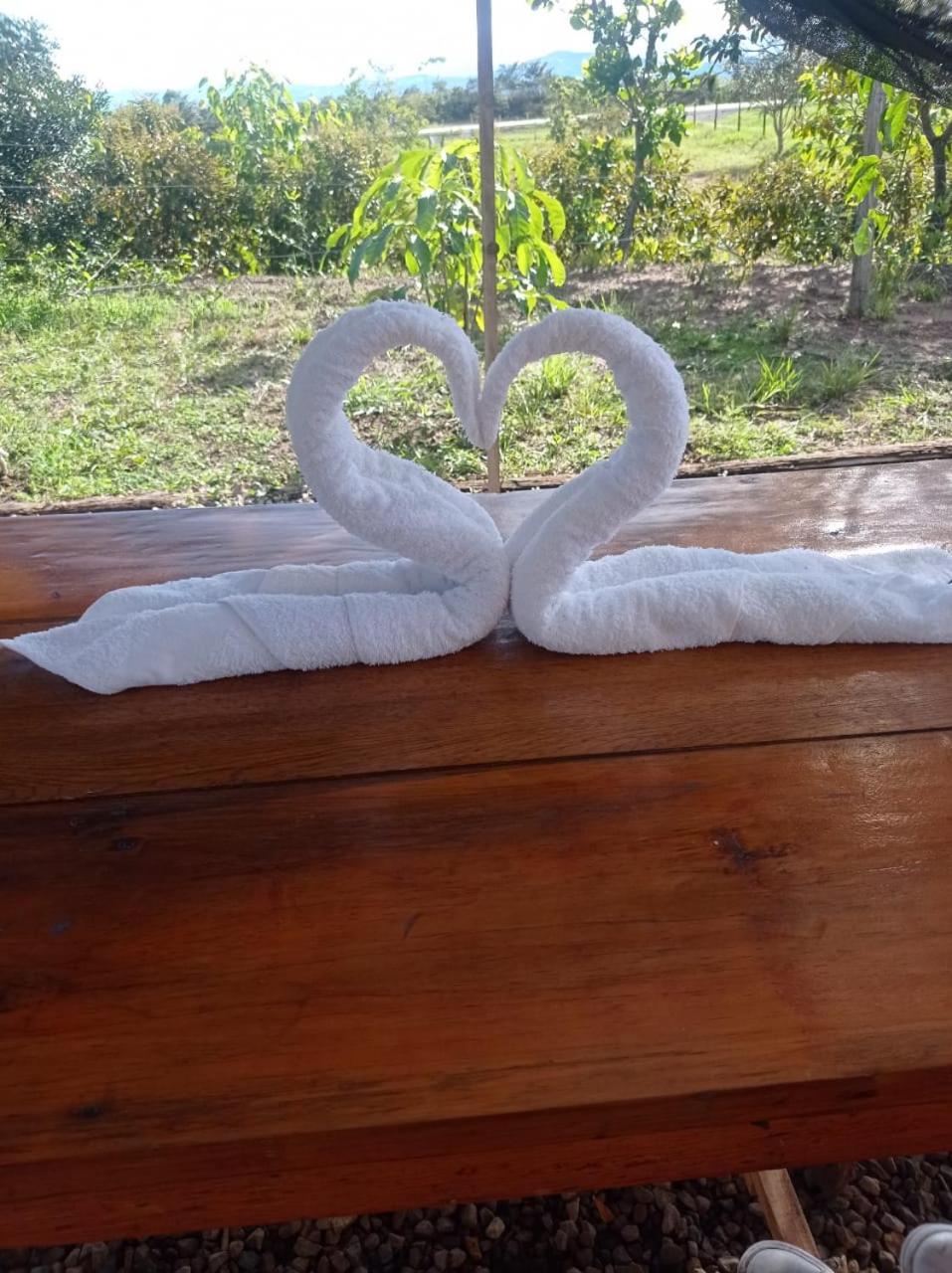 GLAMPING Y CABAÑAS EL MANÁ