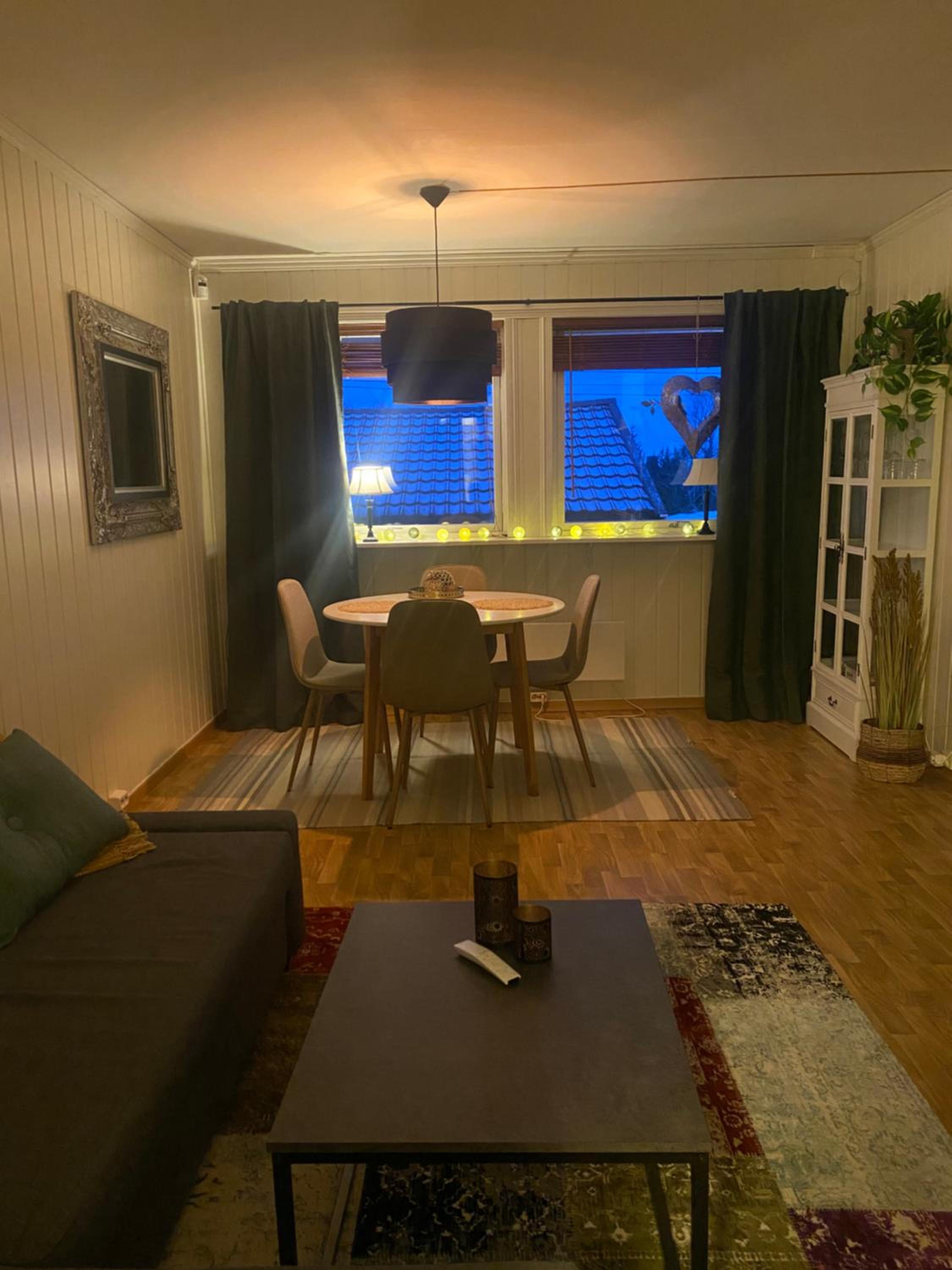 Apartment, 4km fra Tromsøsentrum. flyplass 1.71km. view 4