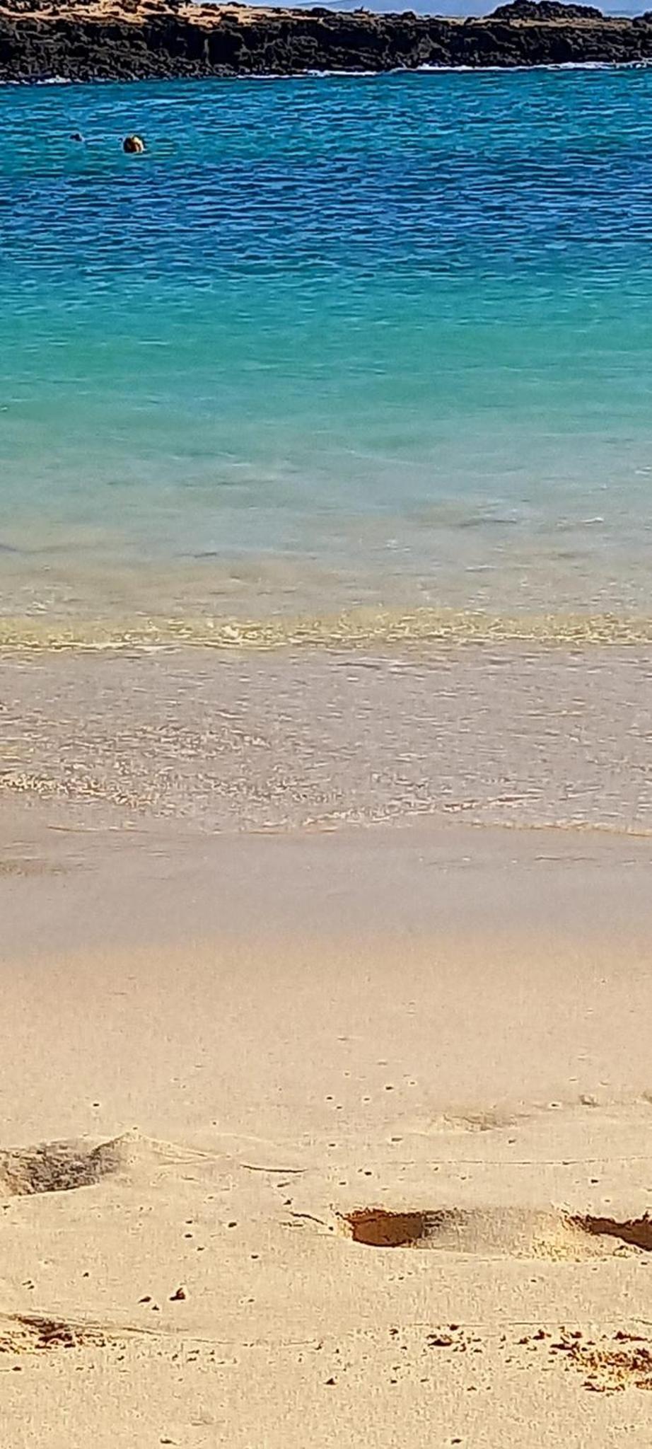 MAREZIA