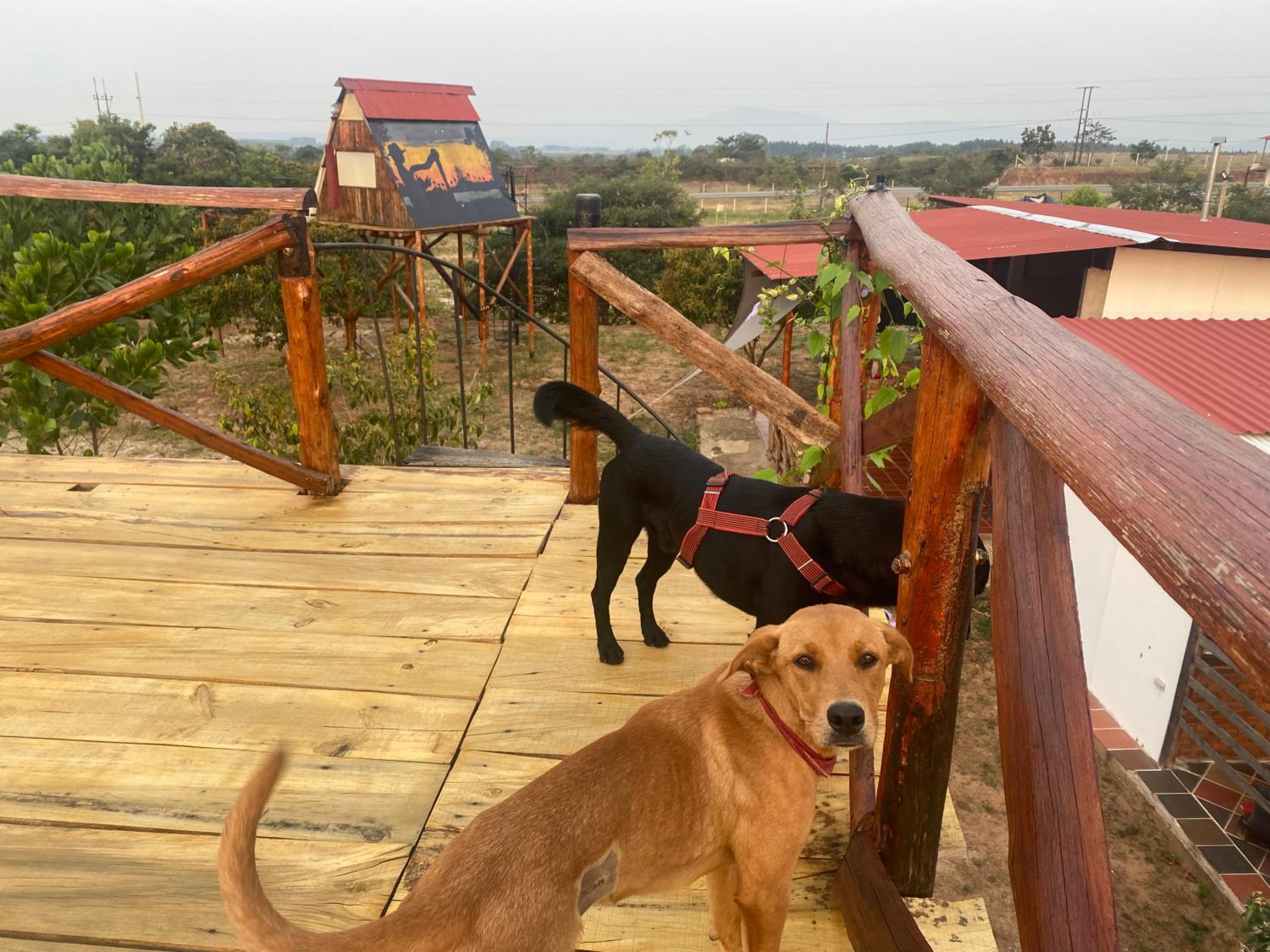 GLAMPING Y CABAÑAS EL MANÁ