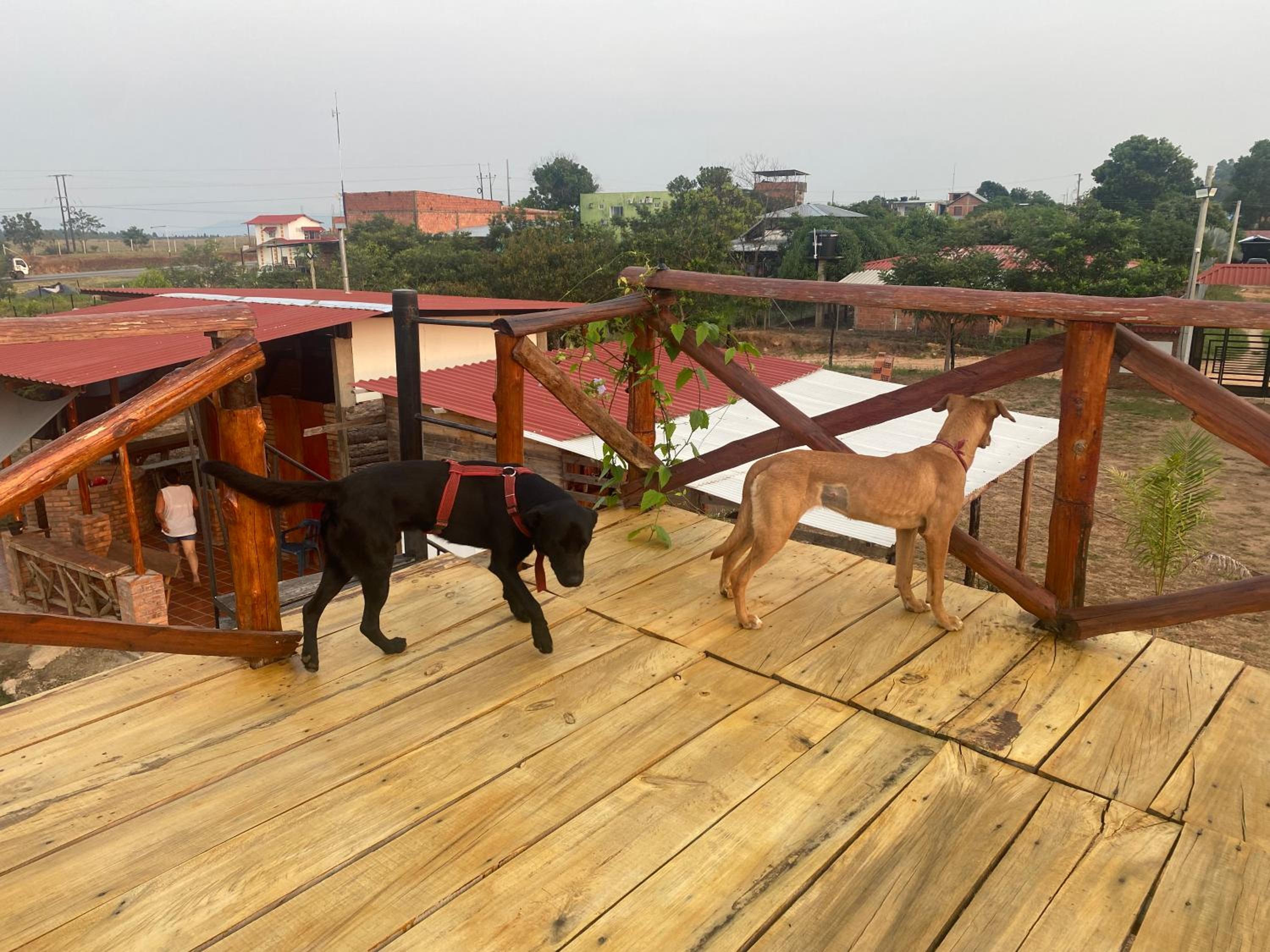 GLAMPING Y CABAÑAS EL MANÁ