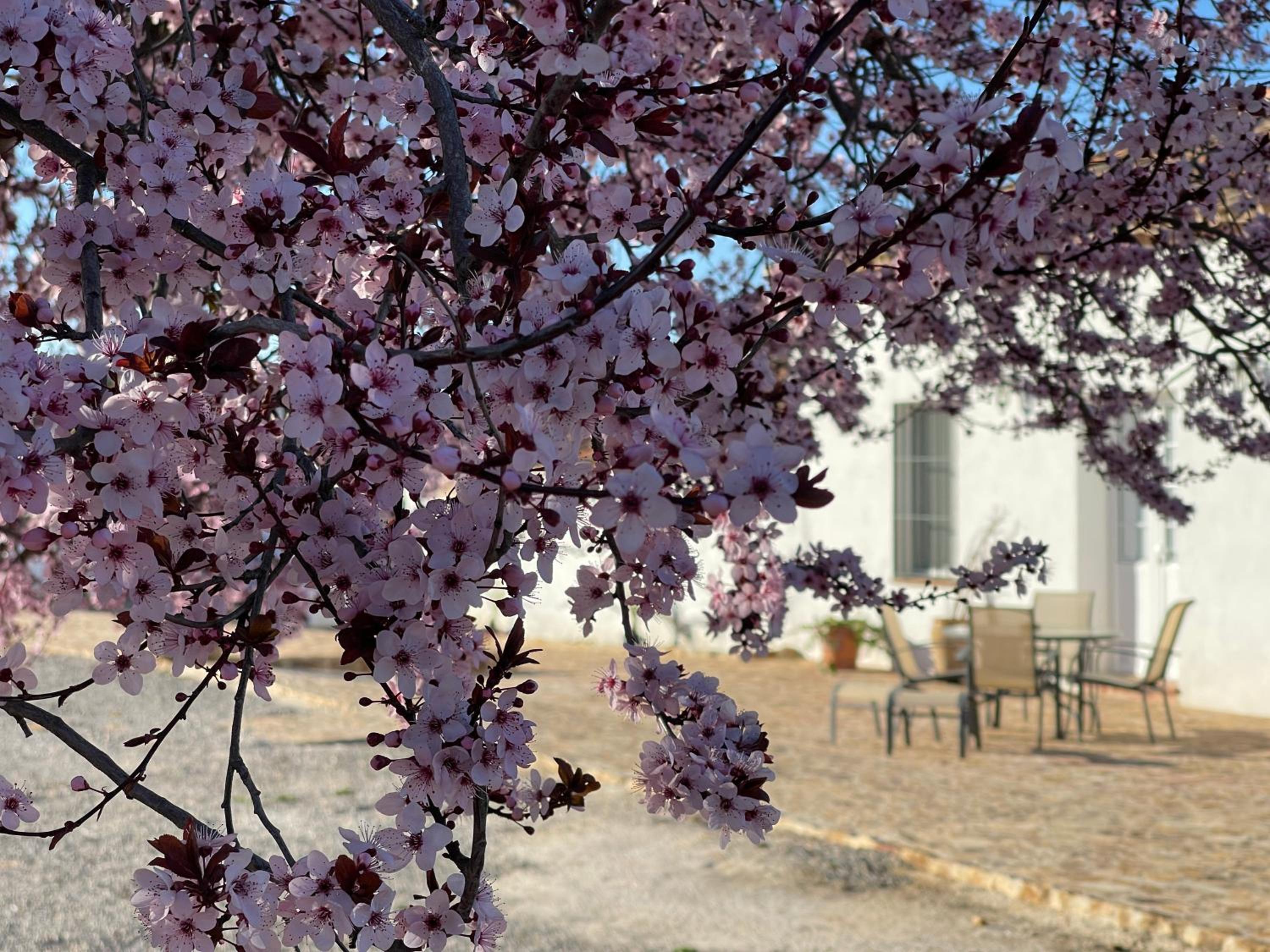 Cortijo Huerta Galindo