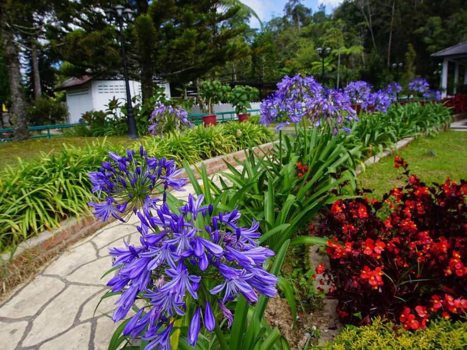 BC Homestay @ Equatorial Hill Apartment