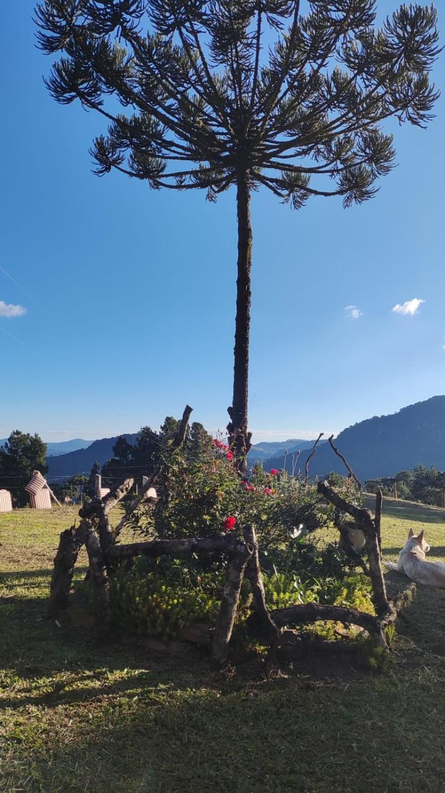 Hotel e Pousada Montanha Real
