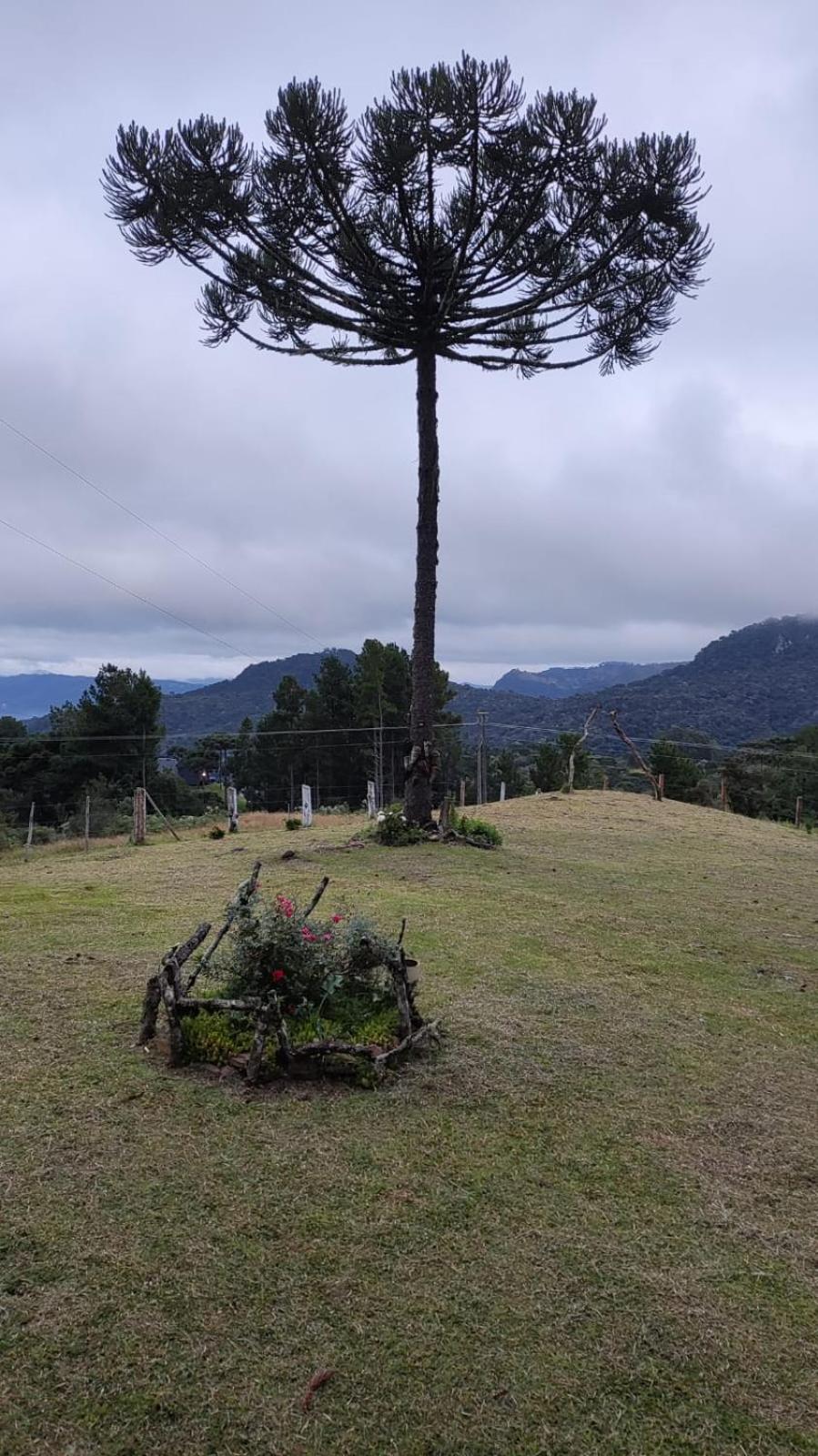 Hotel e Pousada Montanha Real