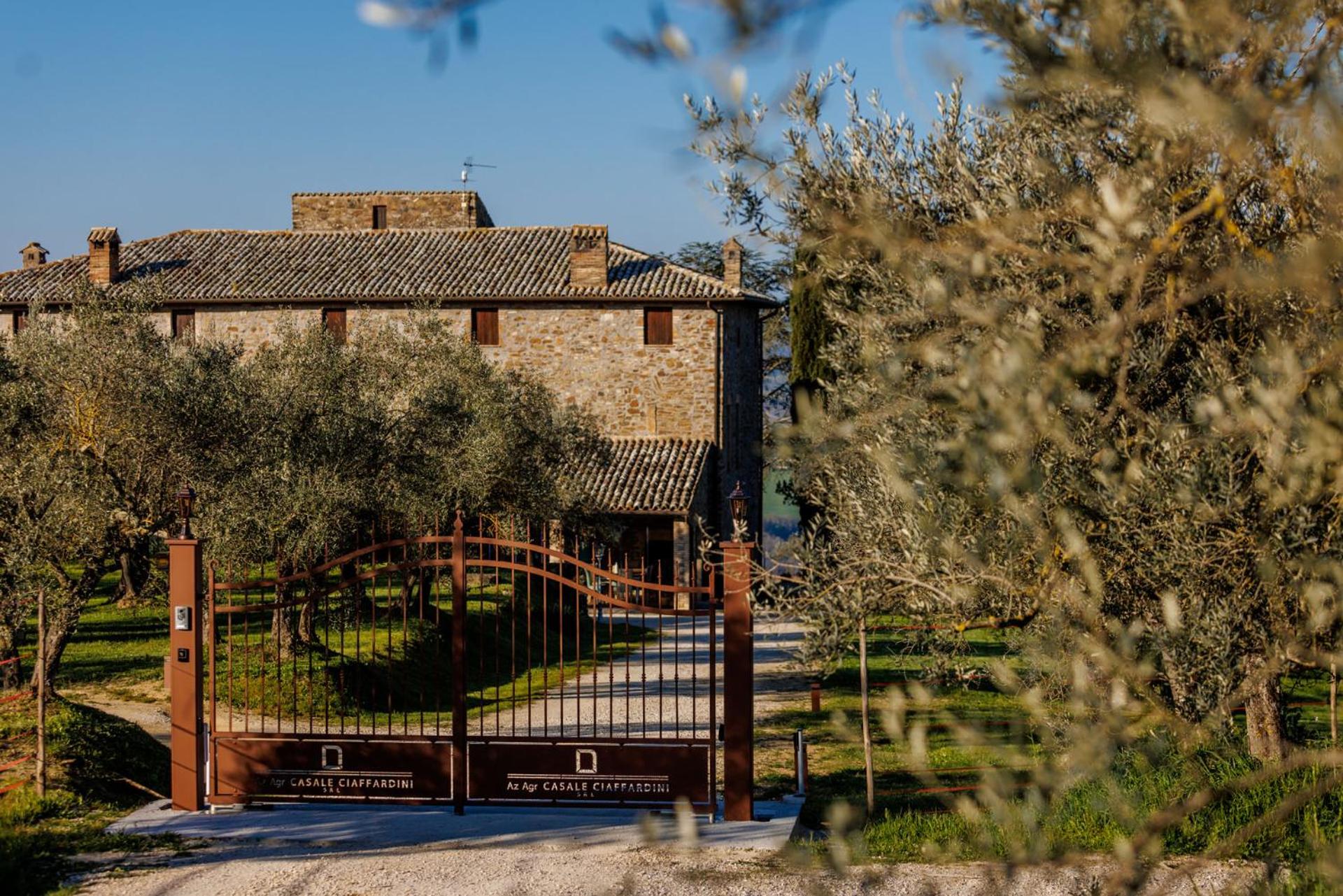 Antichi Casali di Charme - Appartamento Trebbiano view 3