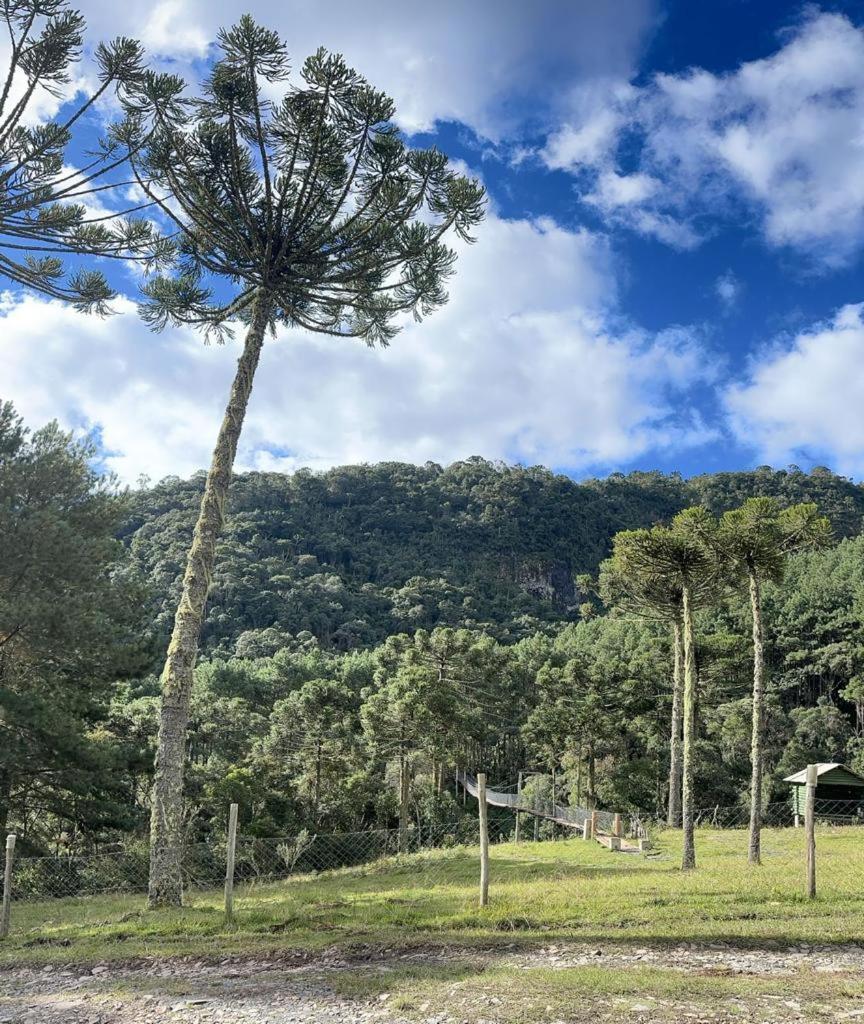 Hotel e Pousada Montanha Real