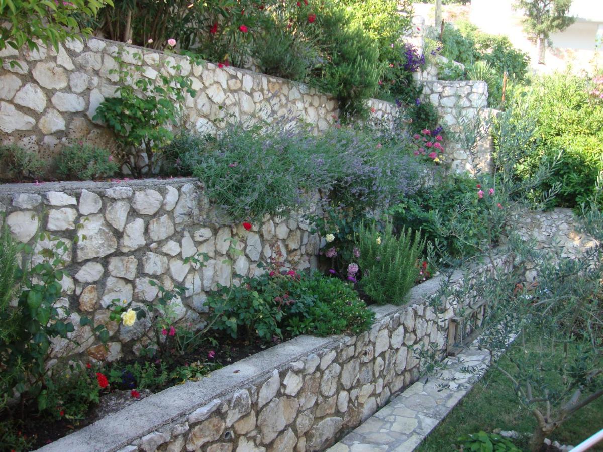 Photo 7