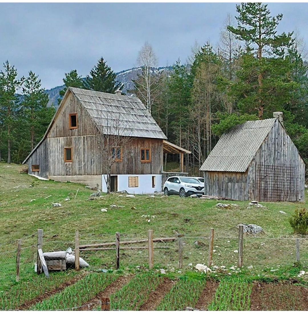 Photo 40