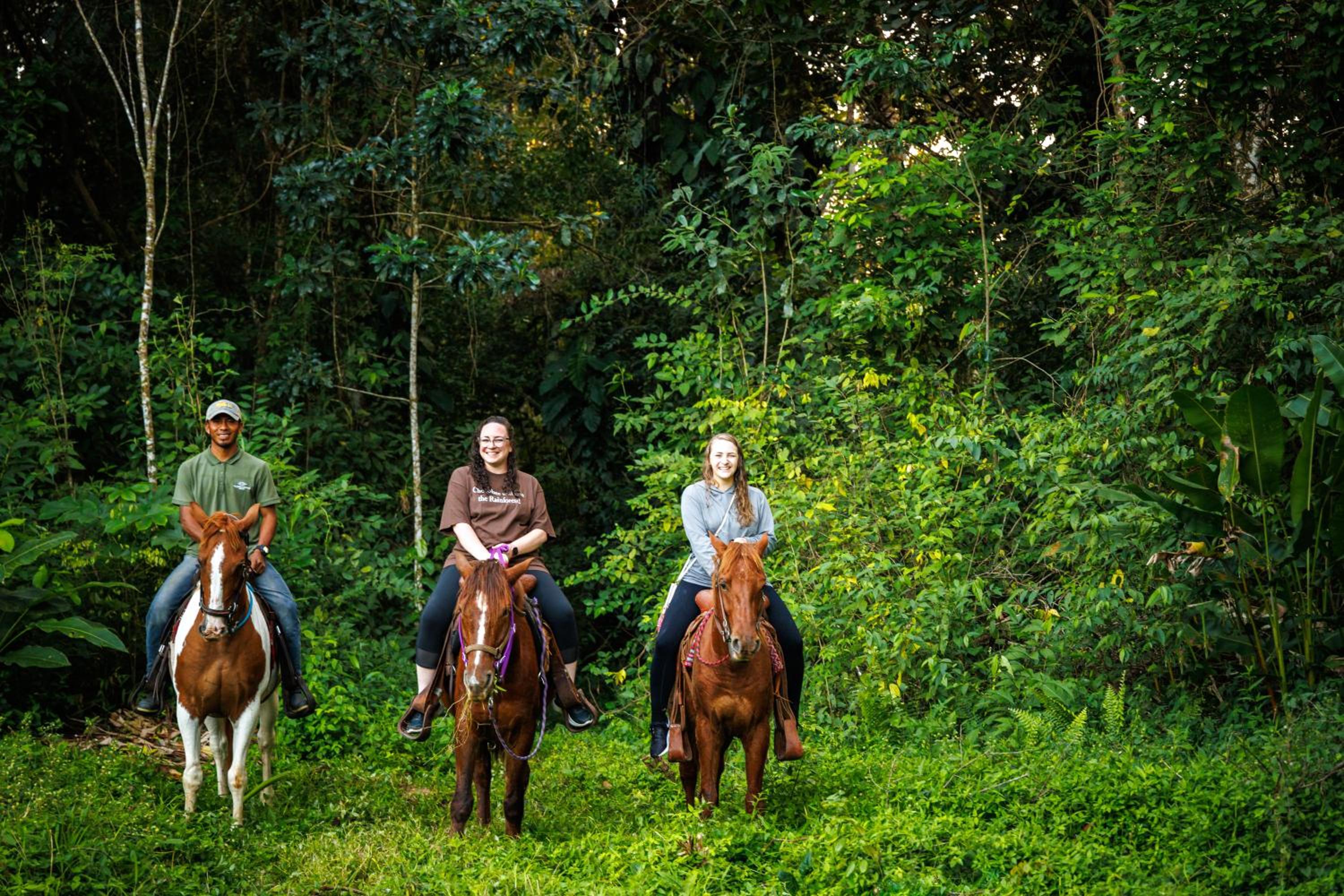 Tanager RainForest Lodge