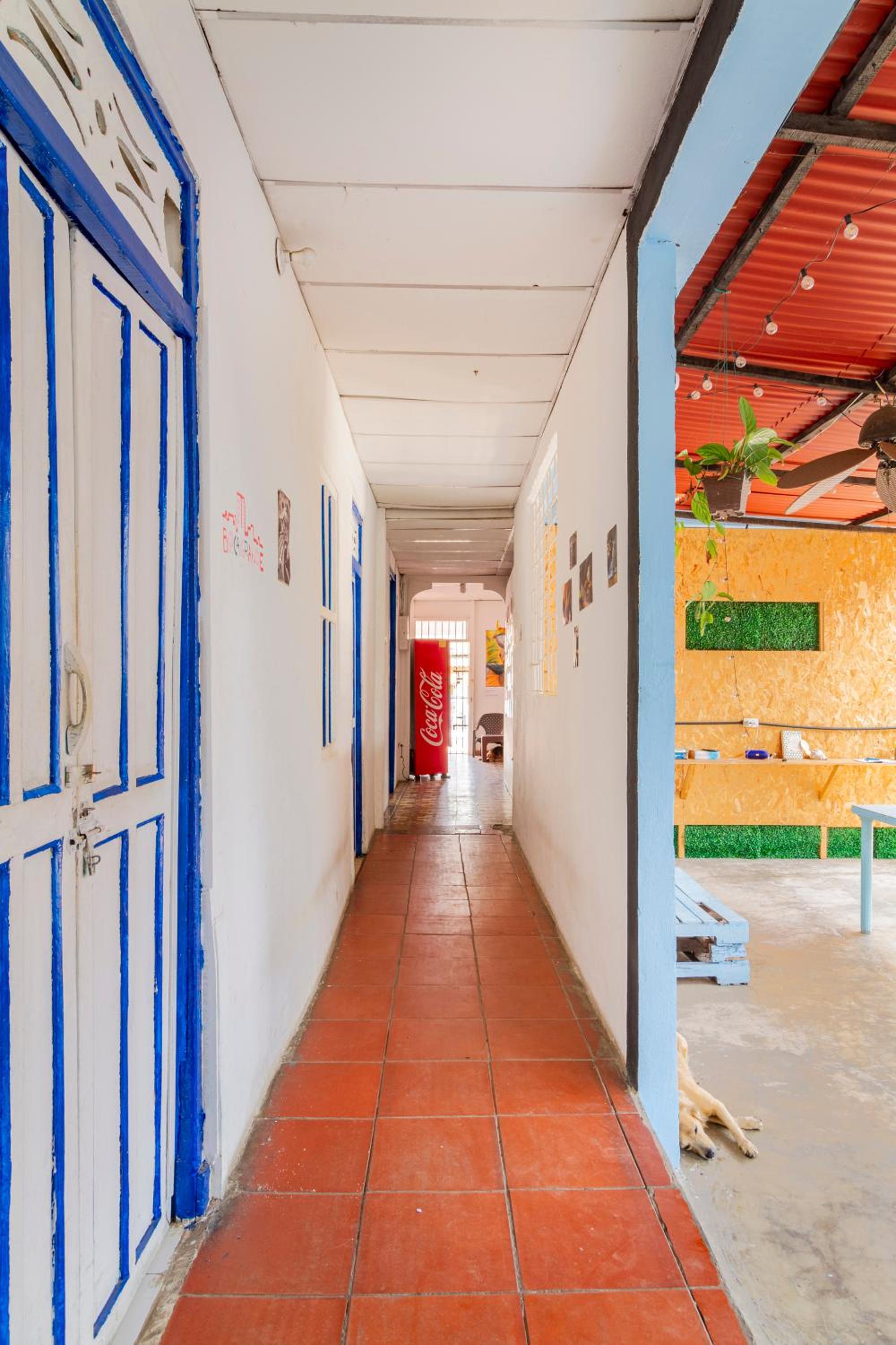Mango Tree Hostel CTG 420 view 5