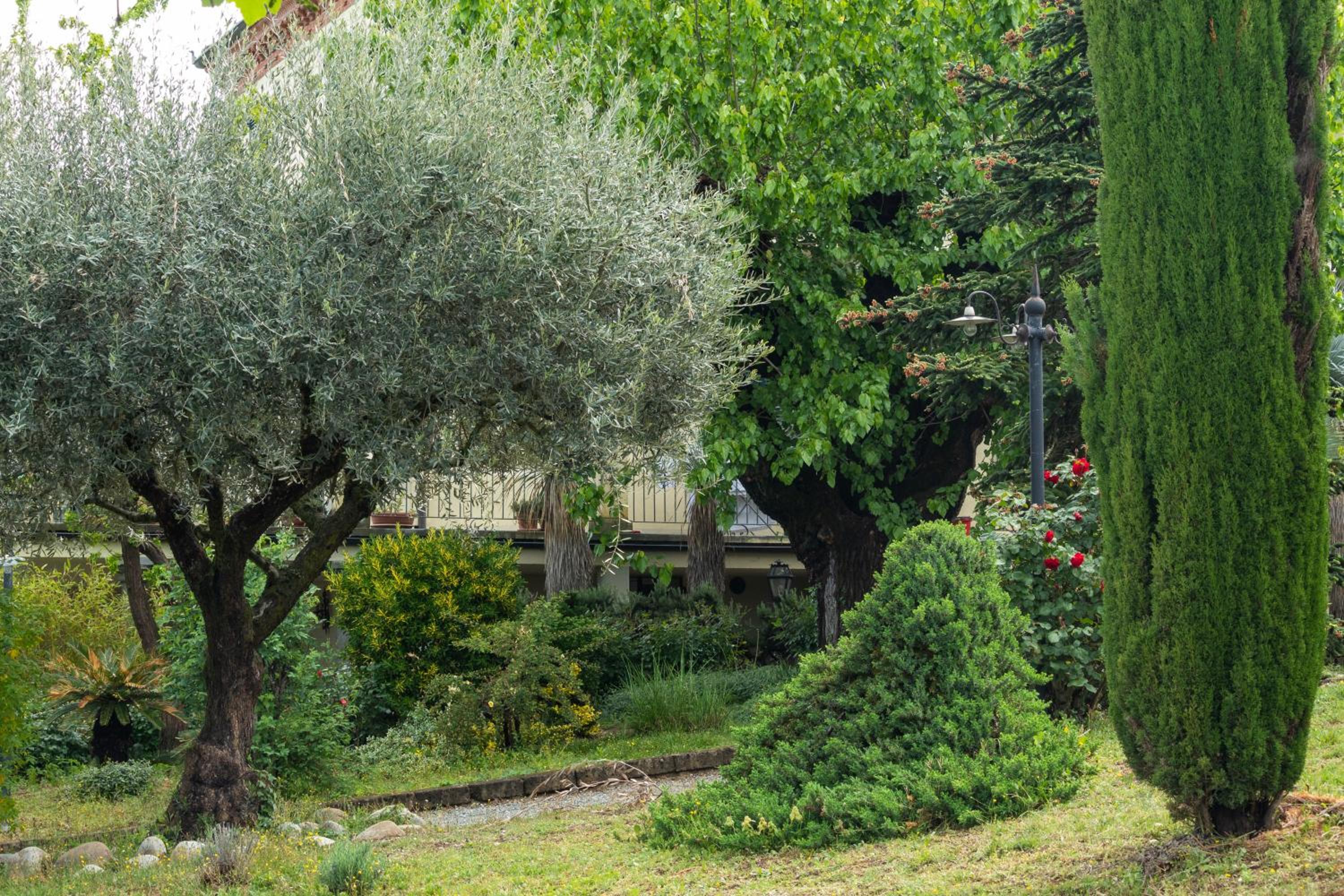 Alba Morus