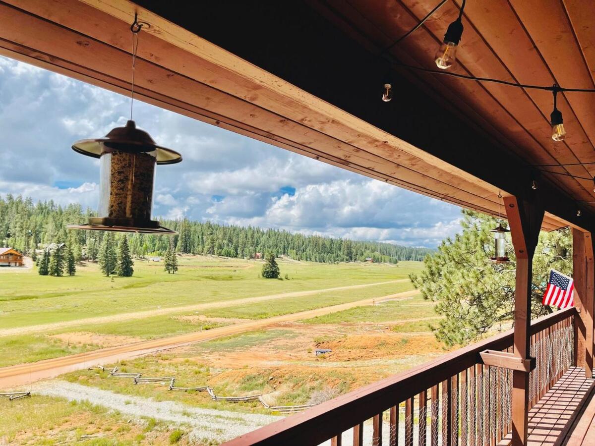 Runway Cabin Retreat With Private Hot Tub! view 4