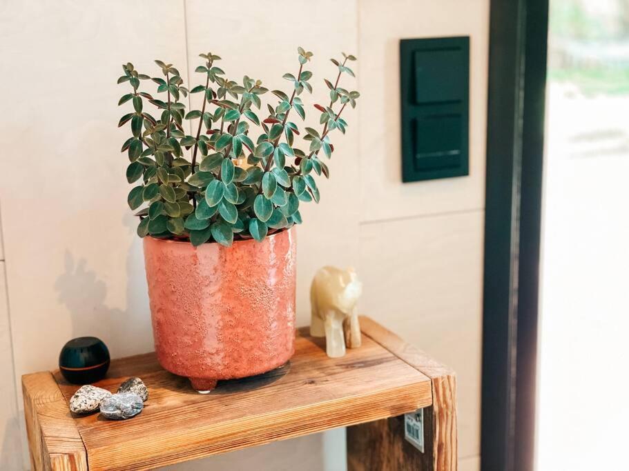 Private Stay Zen House to unplug and recharge