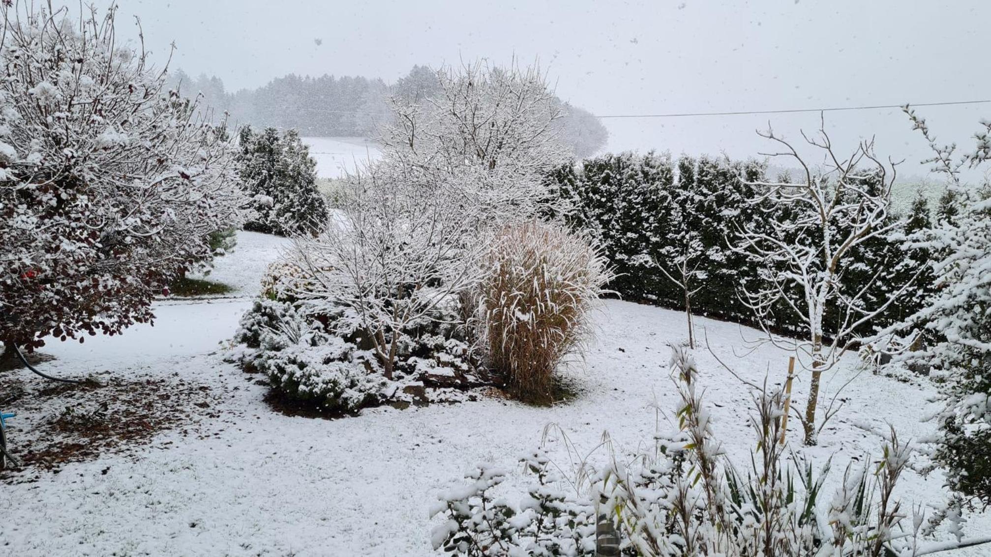 Ferienhaus Ruhe Oase im Bayerischen Wald