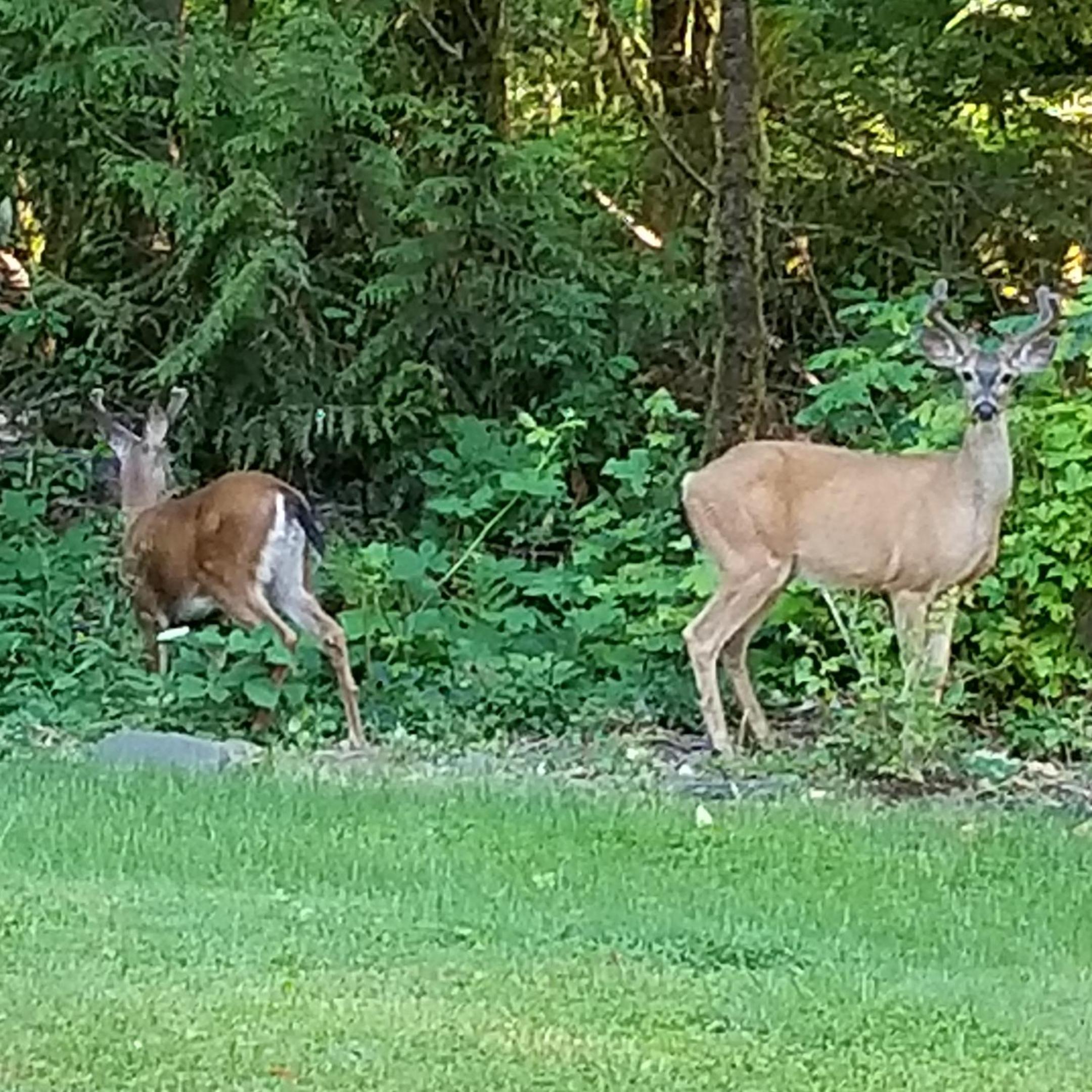 other