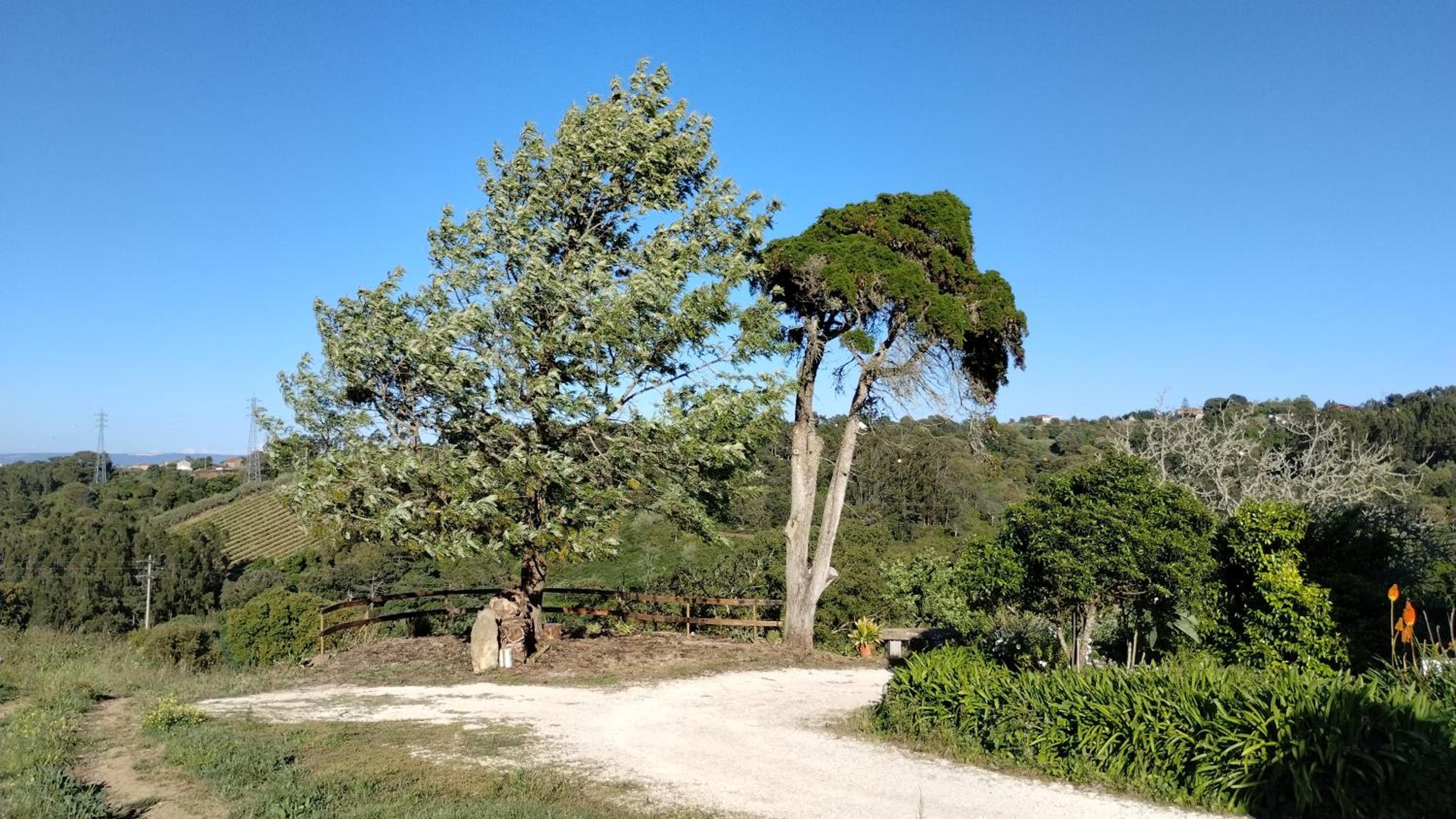 Quinta do Oratório Agroturismo