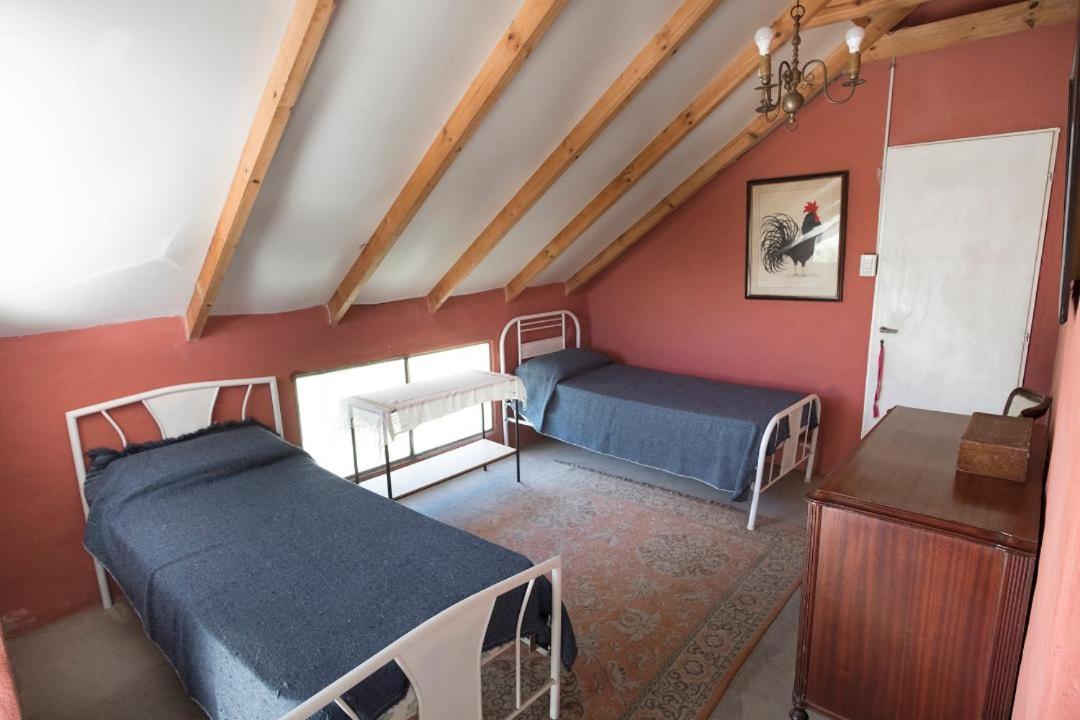 Casa Viaut