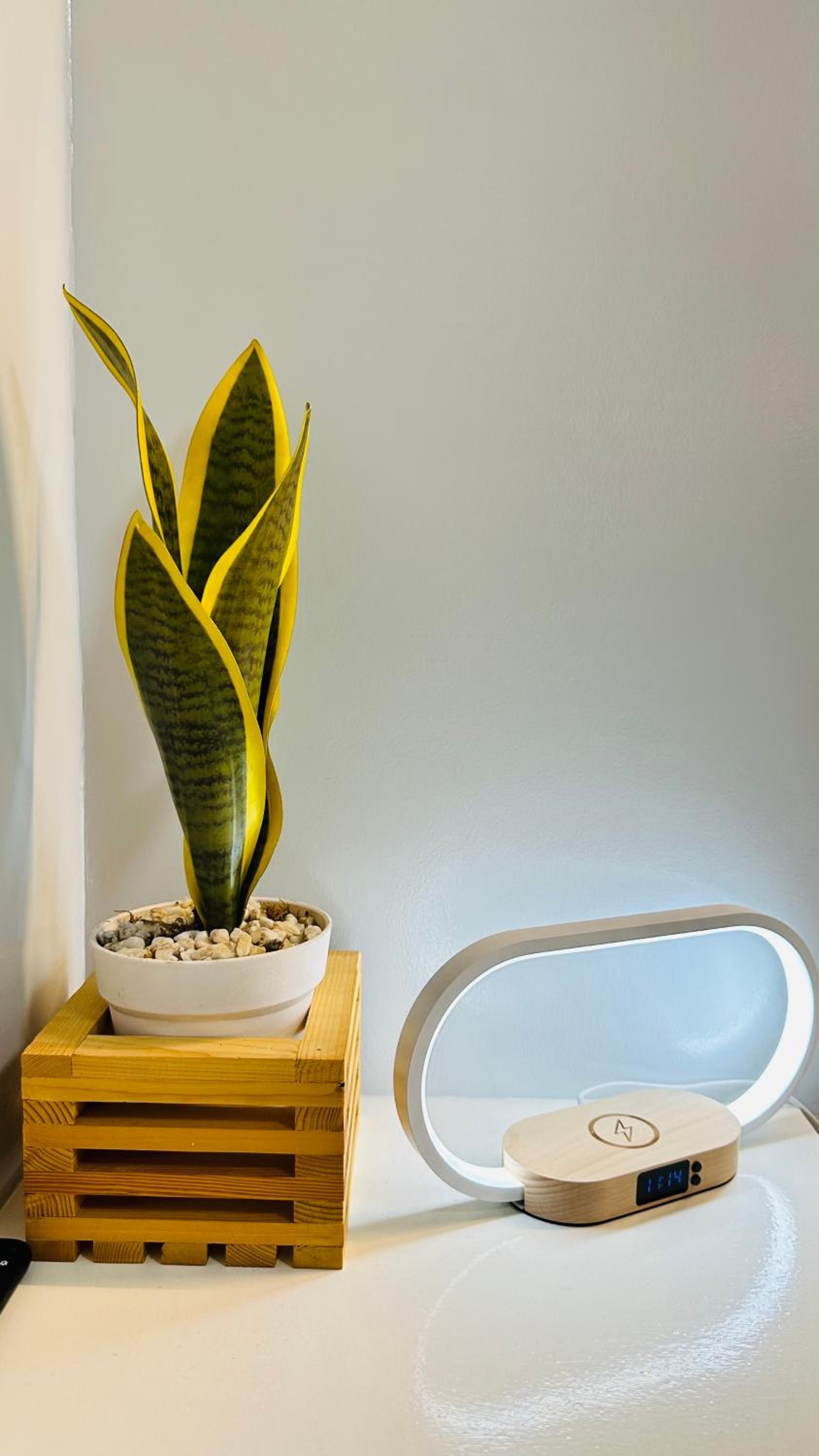 Beyond Zurich HOME Staycation